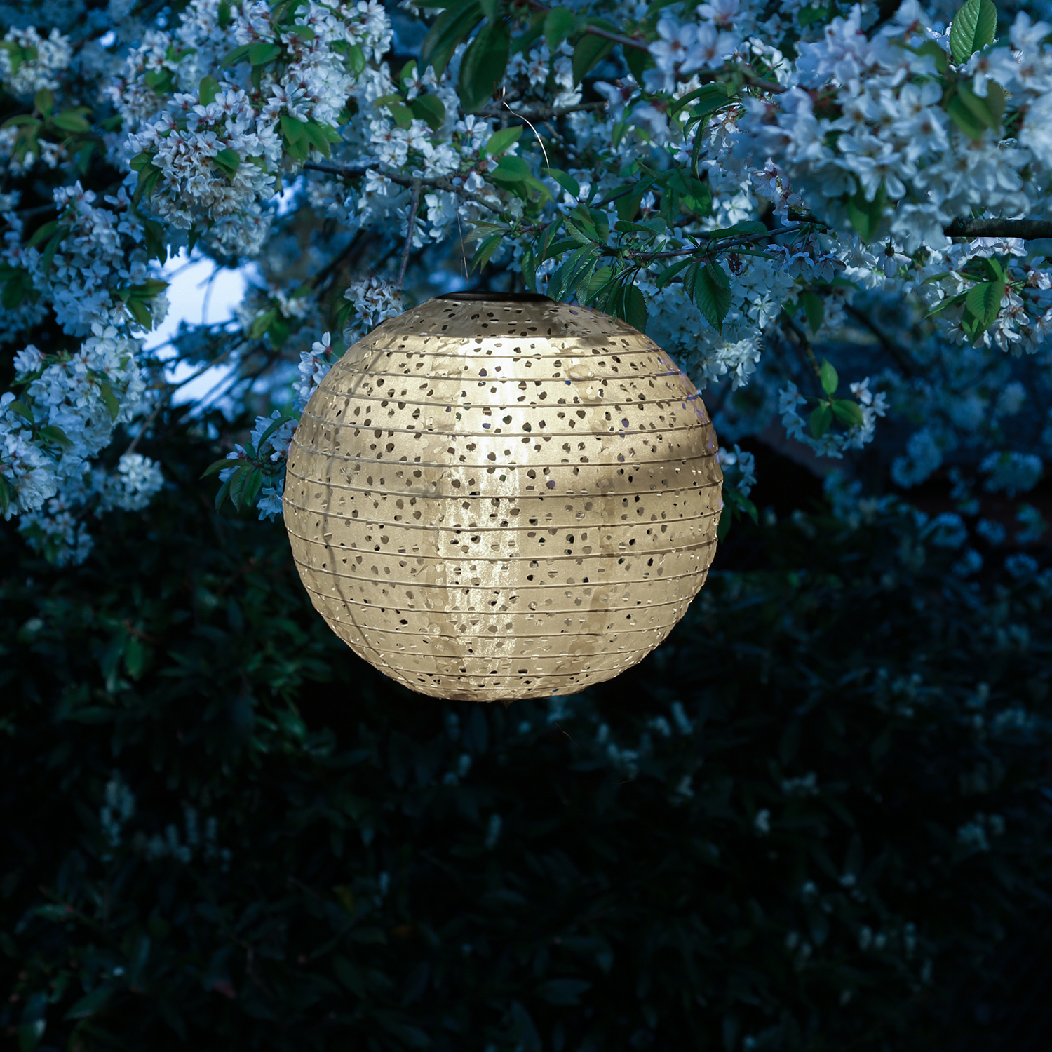 LED Solar Lampions - mit Blumenmuster - warmweiß - H: 25cm/40cm - Lichtsensor - beige - 2 Stück