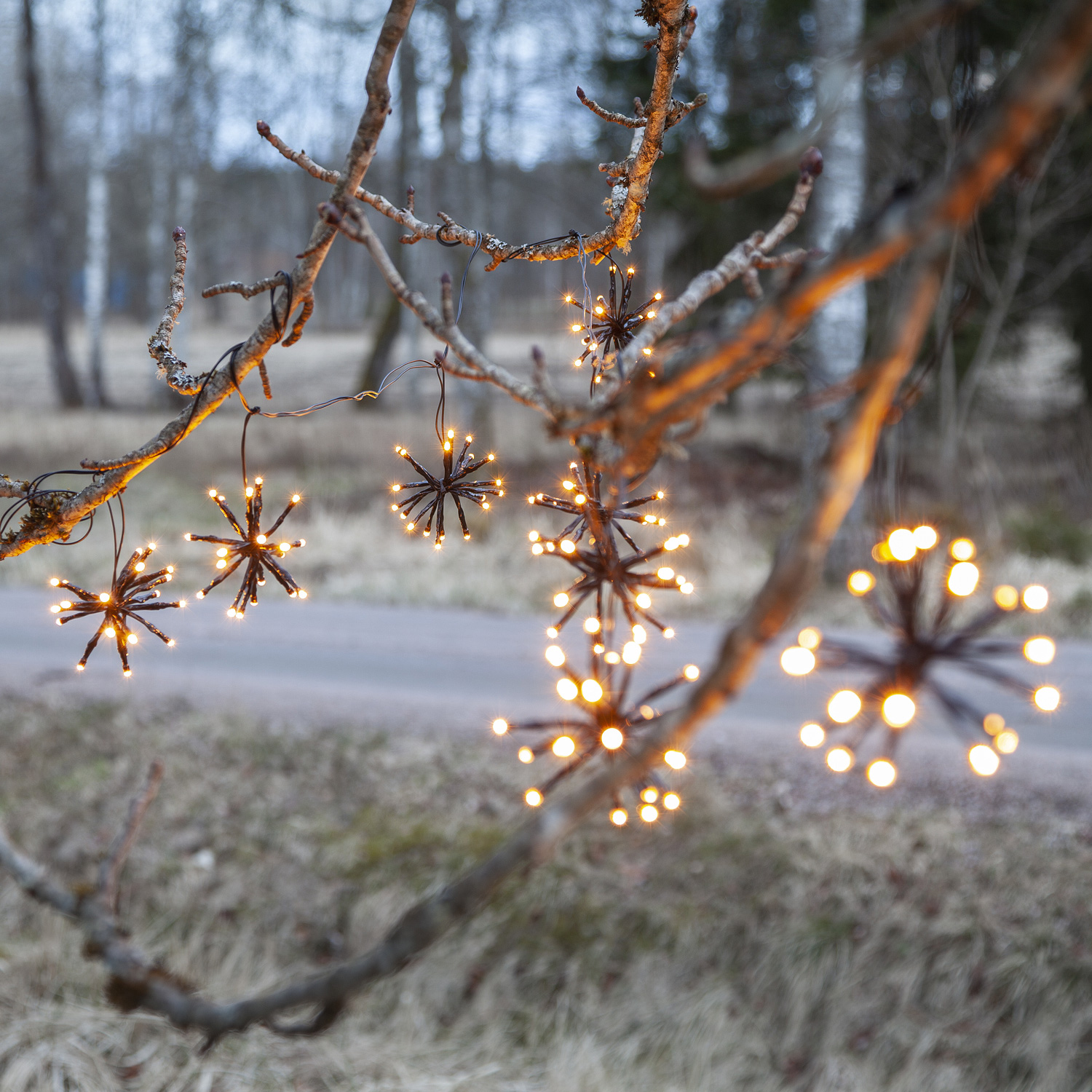 LED Lichterkette Feuerwerk - 200 bernsteinfarbene LED - 10 Cluster - L: 4m - Trafo - Außen - schwarz