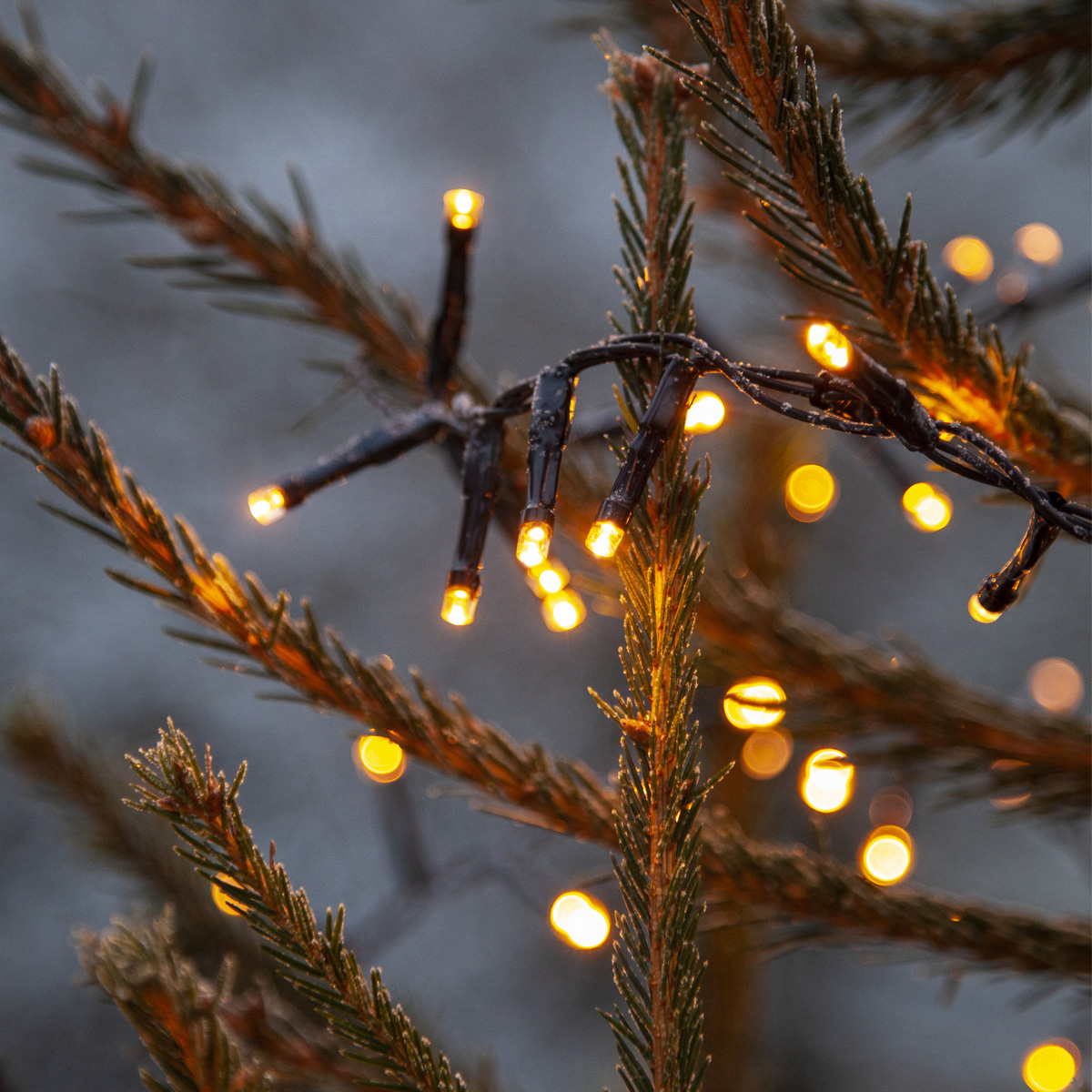 LED Lichterkette - Serie LED - outdoor - 180 ultra warmweiße LED - L: 3,6m - schwarzes Kabel