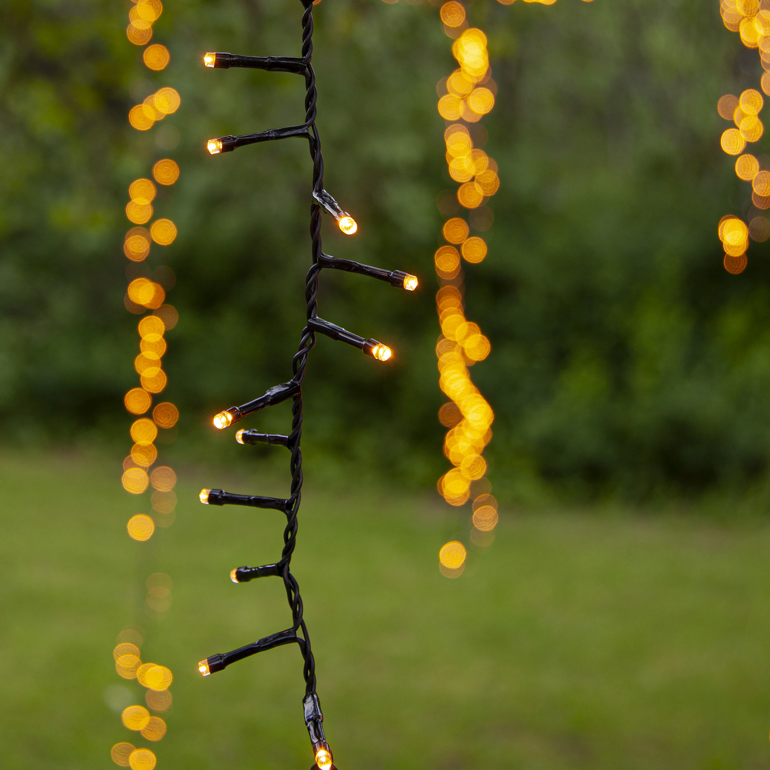 LED Lichterkette - Serie LED - outdoor - 800 ultra warmweiße LED - L: 16m - schwarzes Kabel