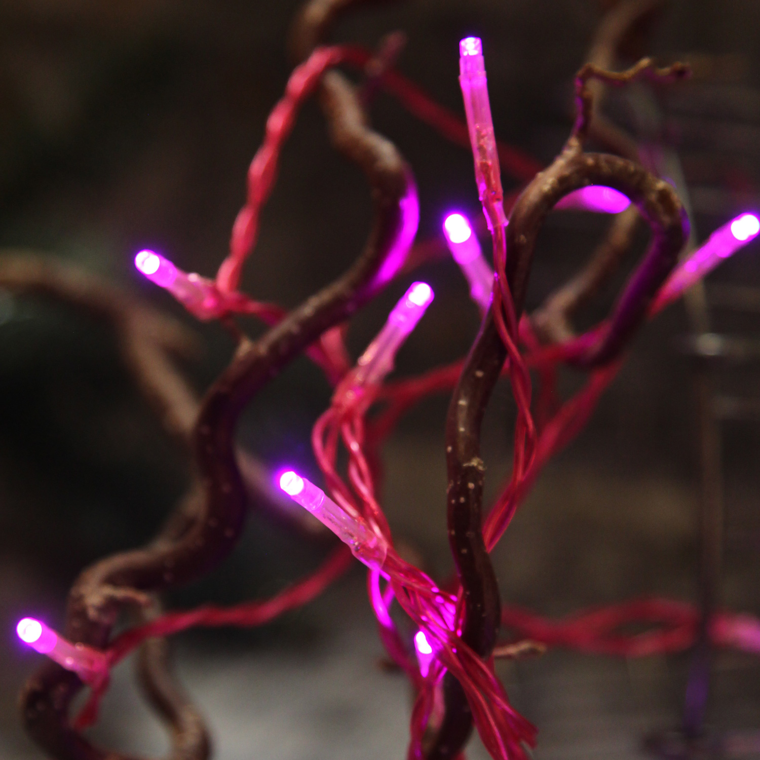 LED-Lichterkette | TRENDLITES | Indoor | Batteriebetrieb | Timer | 2.10m | pinkes Kabel | 15x pinke LEDs