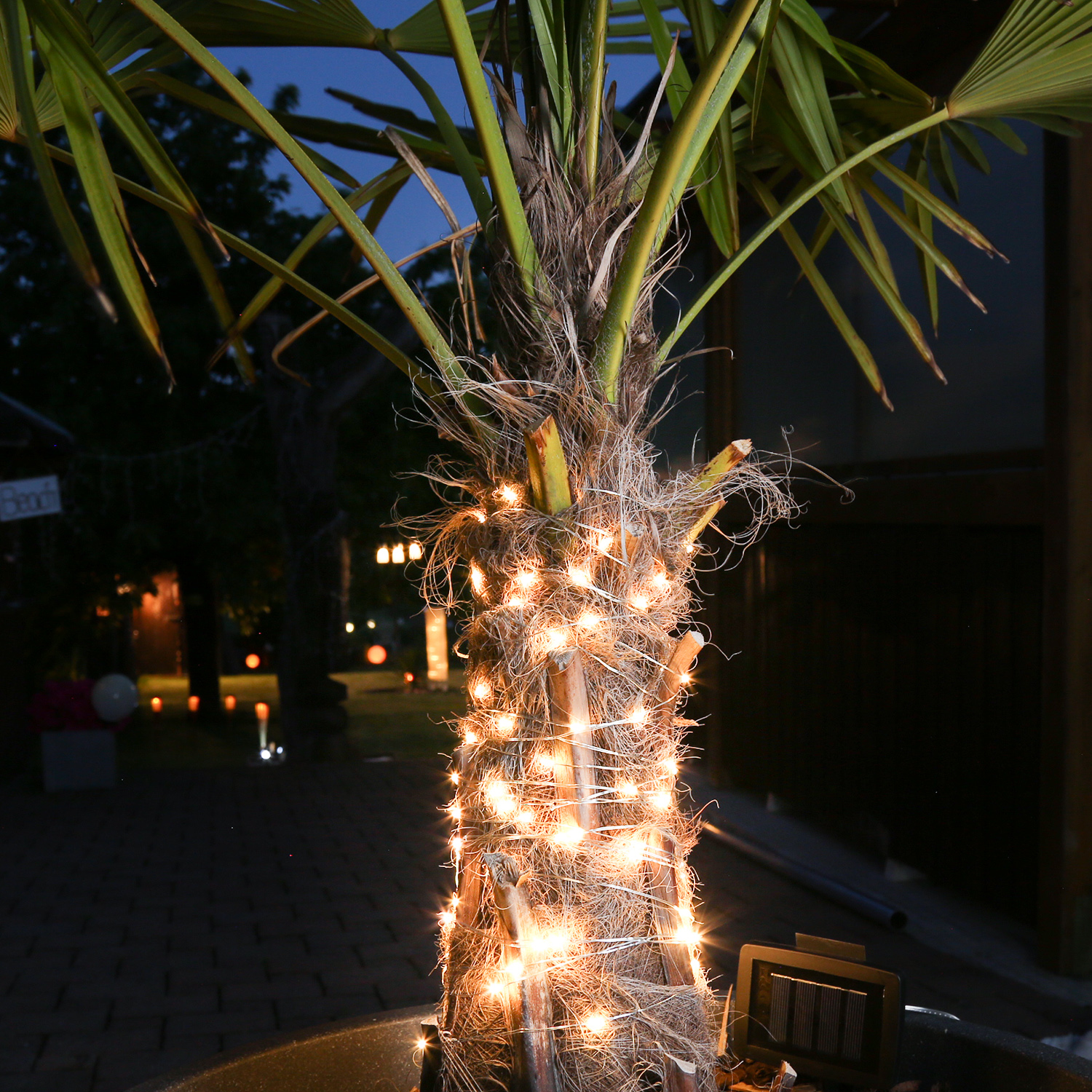 LED Solar Lichterkette "Dew Drop" - 200 warmweiße LED - silberner Draht - L: 20m - Dämmerungssensor