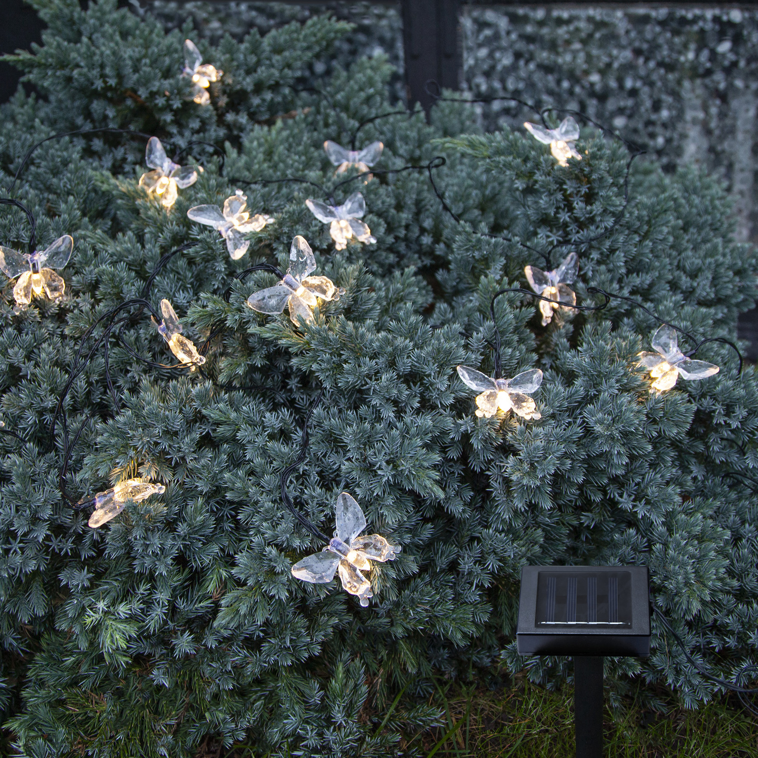 LED Solar Lichterkette Schmetterlinge - 15 warmweiße LED - L: 2,8m - Lichtsensor - transparent