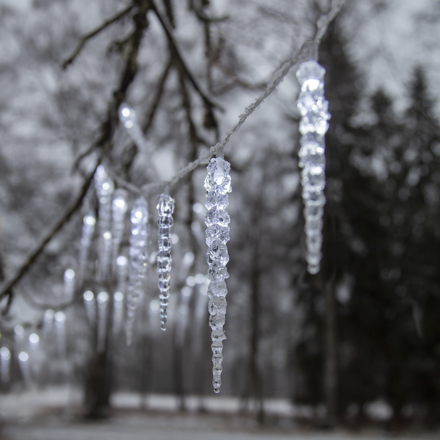 LED Lichterkette Eiszapfen - 40 Eiszapfen - 8 Lauflichtfunktionen - L: 6m - Timer - für Außen