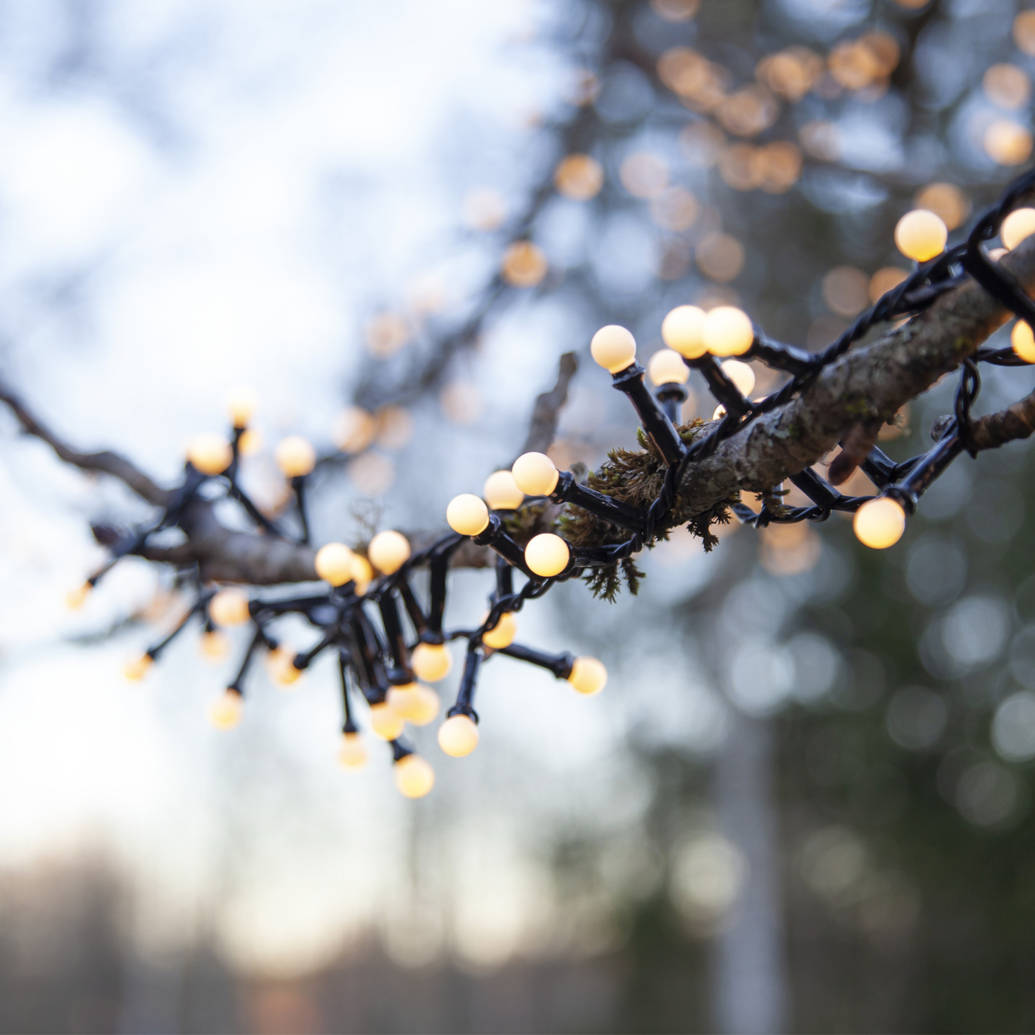 LED Party Lichterkette Berry Mini 300 warmweiße LED - L:6m - 8 Funktionen - Trafo - Timer - outdoor