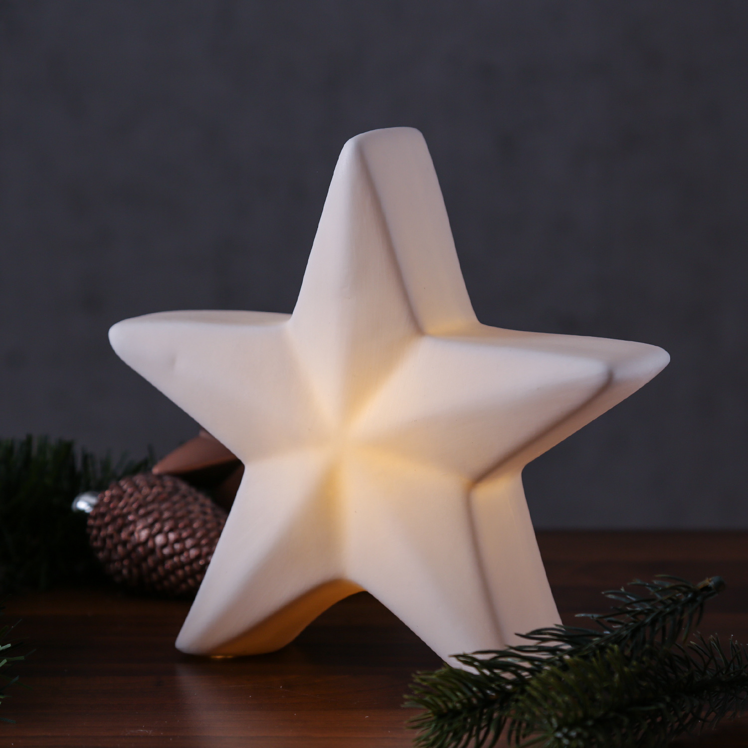 LED Stern - Dekostern - warmweiße LED - Porzellan - H: 19cm - inkl. Batterie - für Innen - weiß