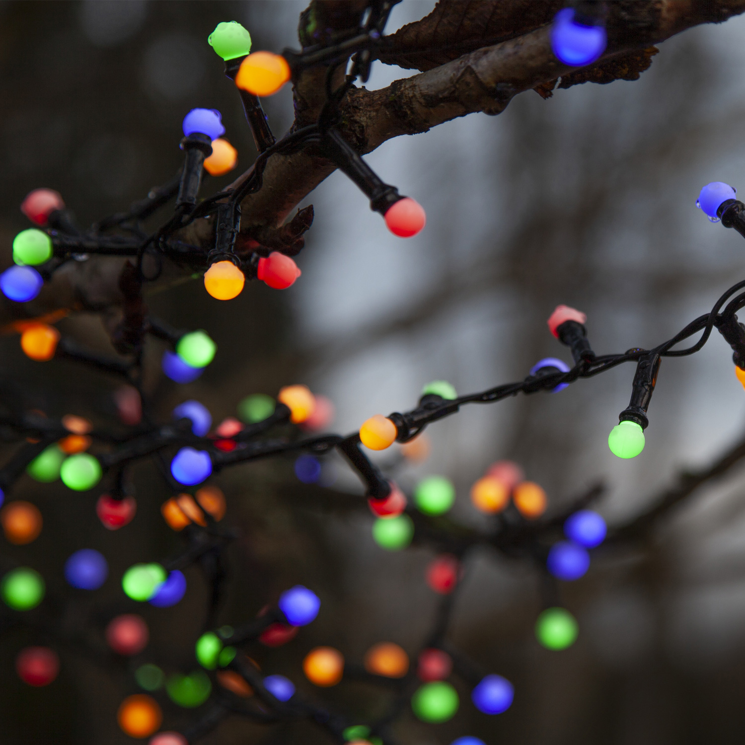 LED Lichterkette Berry Mini - 300 bunte opale LED - 6m - 8 Funktionen - Trafo - Timer - outdoor