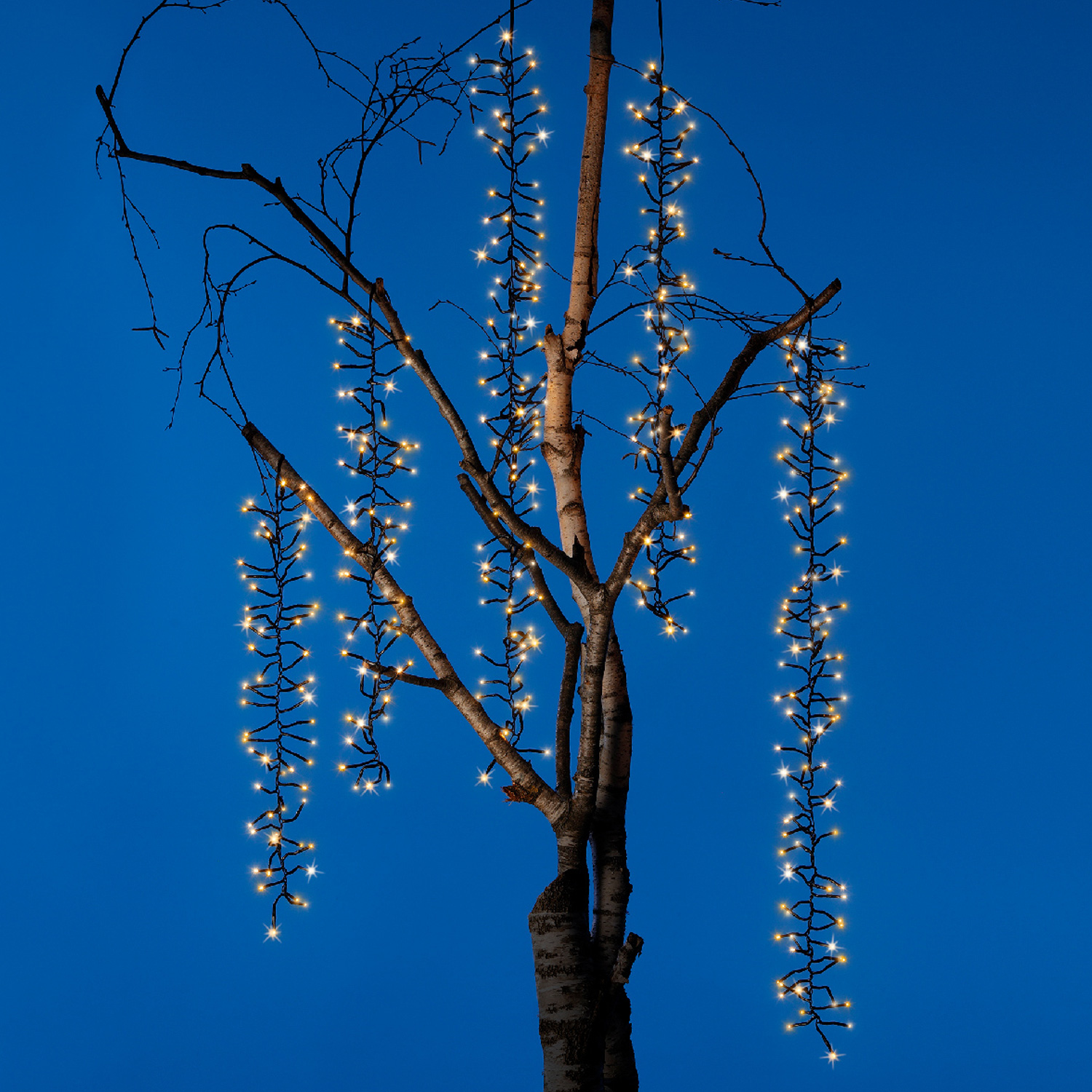 LED Lichterkette Kaskadenbeleuchtung - 6 Stränge - je 240 warmweiße/bernsteinfarbene LED - 8 Funkt.