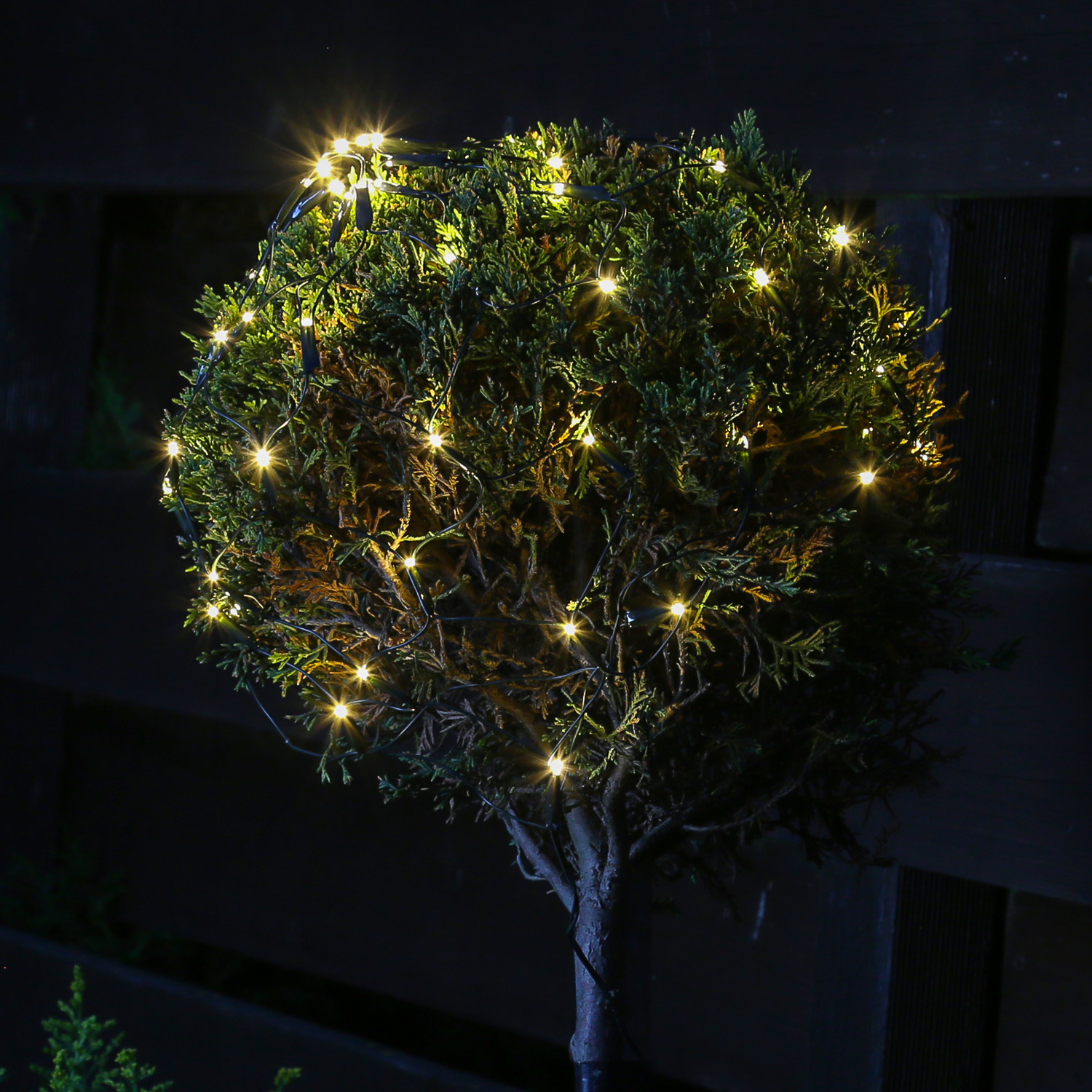 LED Lichternetz Buchsbaum - 60 warmweiße LED - D: 35cm - 8 Funktionen - Timer - Batterie - schwarz