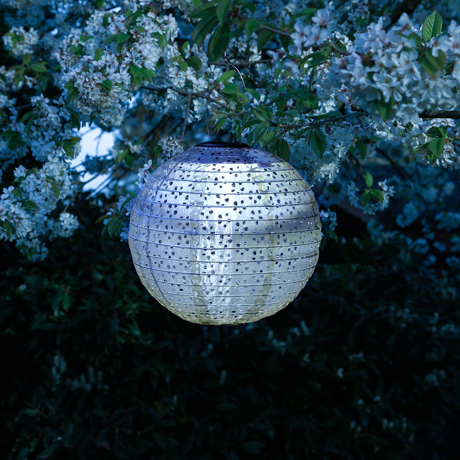 LED Solar Lampions - mit Blumenmuster - warmweiß - H: 25cm/40cm - Lichtsensor - blau - 2 Stück