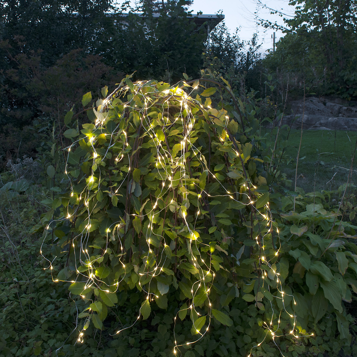 LED-Draht-Bündel "Dew Drop Outdoor" - silber - 360 warmweiße LEDs, 23 Stränge - 2,0m - IP44