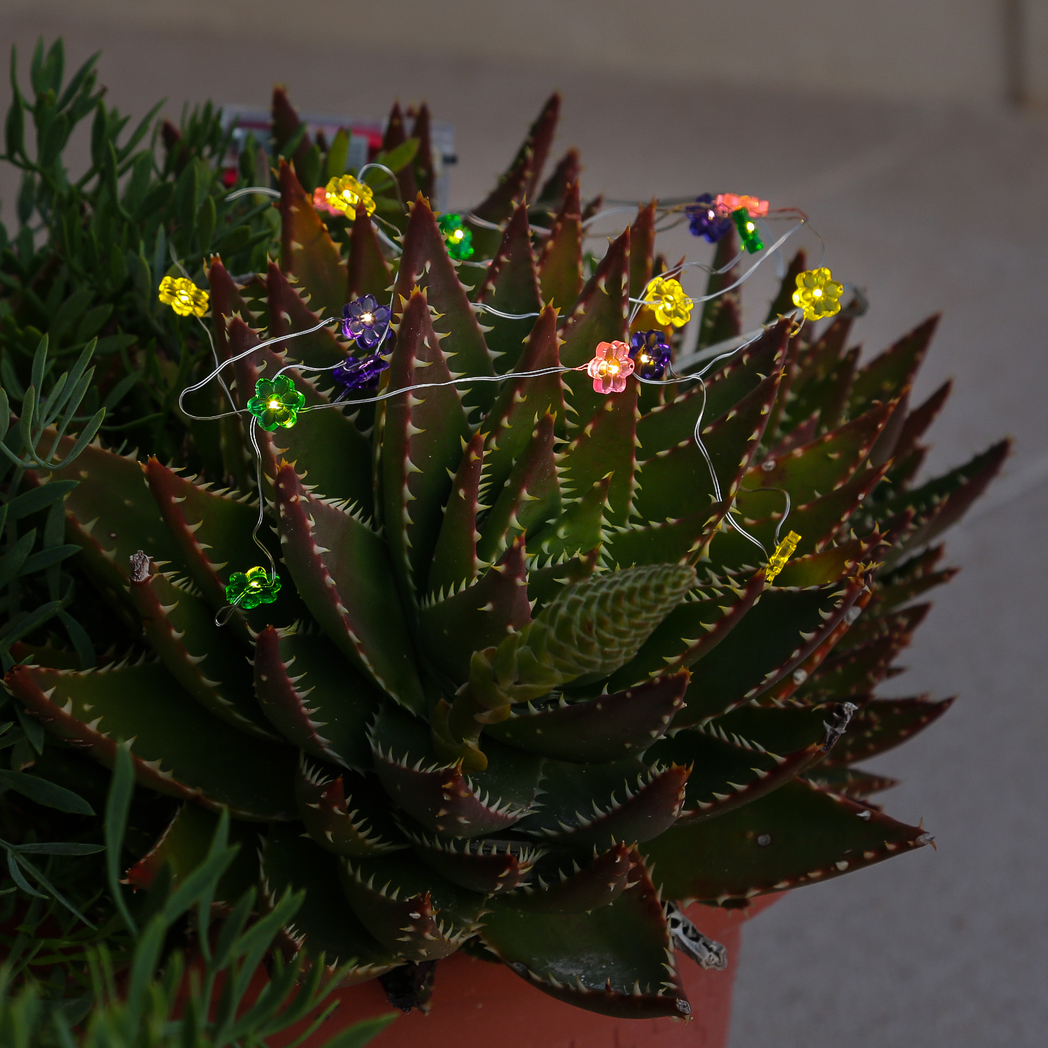LED Drahtlichterkette Blume - 20 warmweiße LED - L: 1,9m - Batteriebetrieb - mehrfarbig