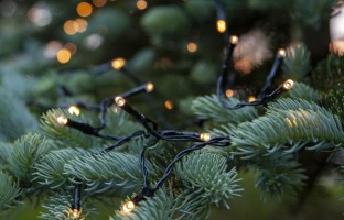 "einfache" Lichterkette außen