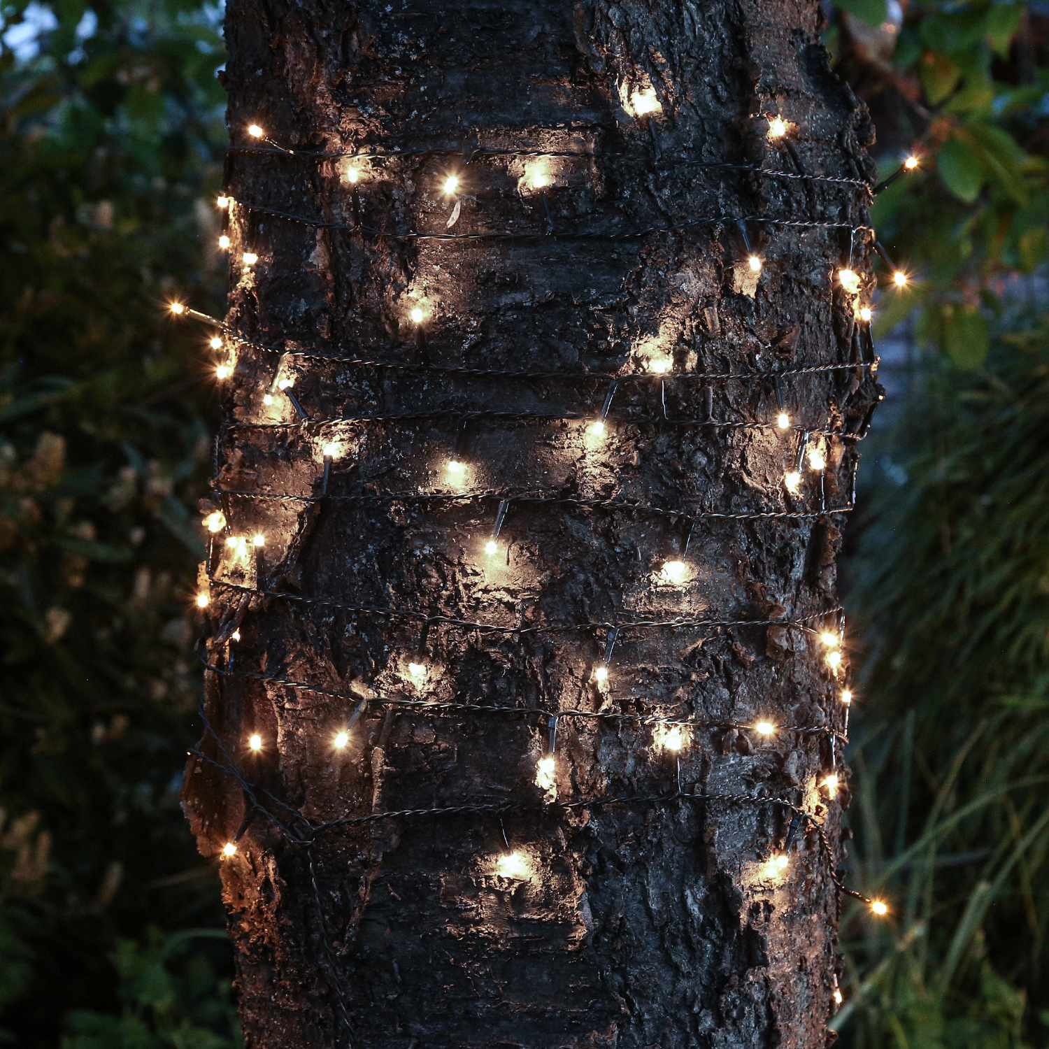 LED Solar Lichterkette Compact Twinkle - 1000 warmweiße LED - 8 Funktionen - L: 22,5m
