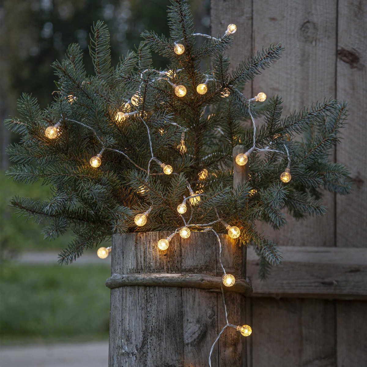 LED Lichterkette BERRY - 50 warmweiße klare Mini Kugeln - L: 5m - transparentes Kabel - outdoor LED Lichterkette BERRY - 50 warmweiße klare Mini Kugeln - L: 5m - transparentes Kabel - outdoor
