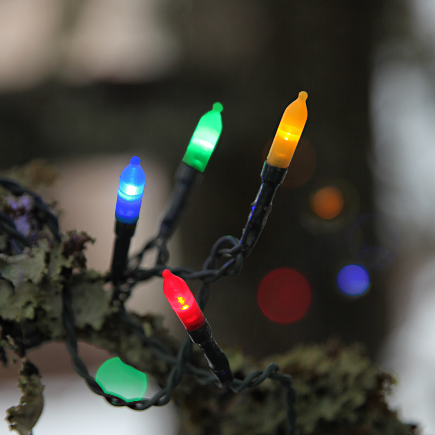 LED-Lichterkette - Garden Line Outdoor - 31,80m - 160x Bunt - Grün