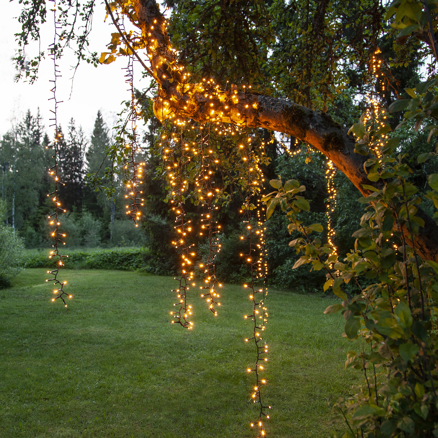 LED Lichterkette - Serie LED - outdoor - 540 ultra warmweiße LED - L: 11m - schwarzes Kabel