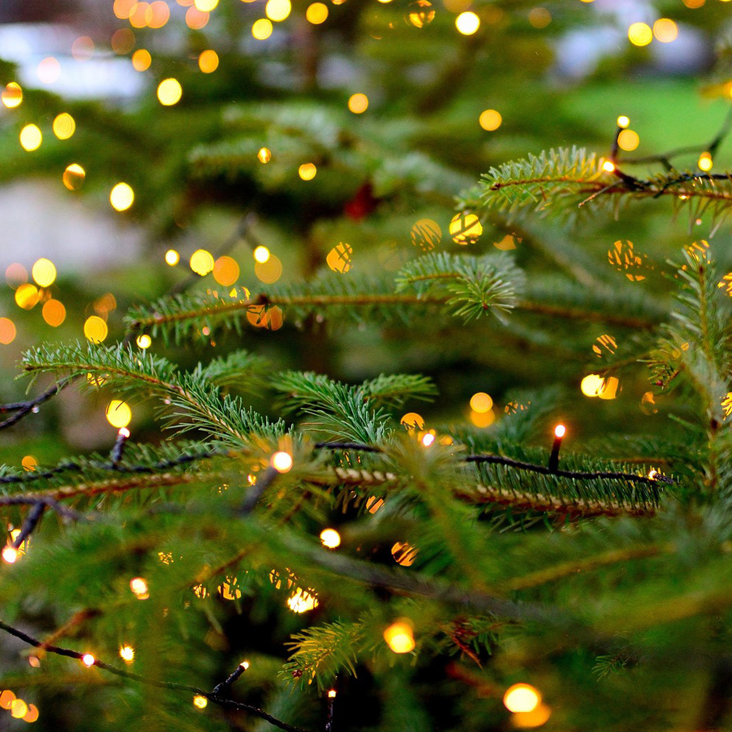 LED Lichterkette - 300 ultra warmweiße LED - 8 Funktionen - L 16m - Trafo - Außen - grünes Kabel