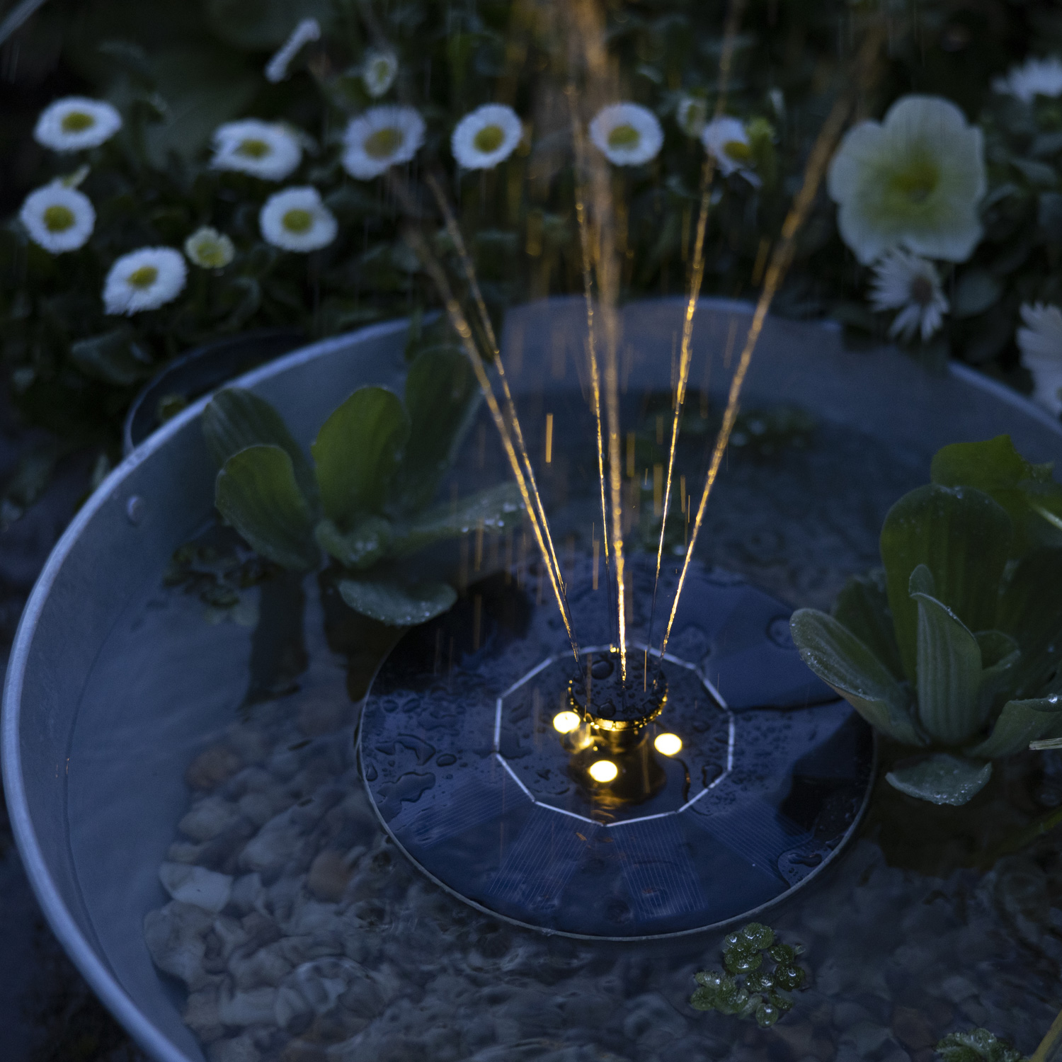 LED Solar Teichpumpe - schwimmende Fontäne - 4 warmweiße LED - Kunststoff - D: 16cm - schwarz