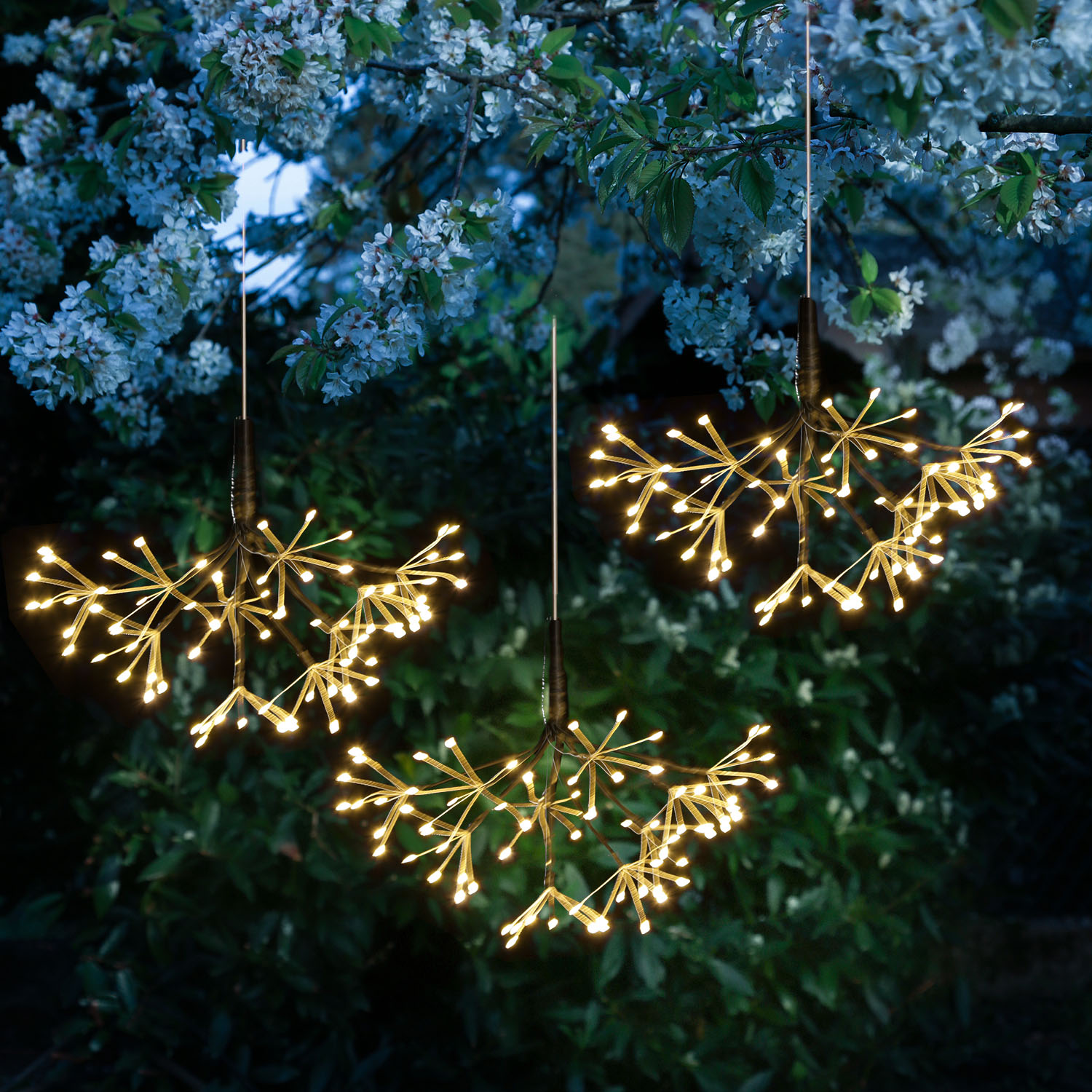 LED Feuewerk Leuchte - Polarsterne - Pusteblume - 240LED - hängend - 8Funkt./Fernb.- 3er Set schwarz