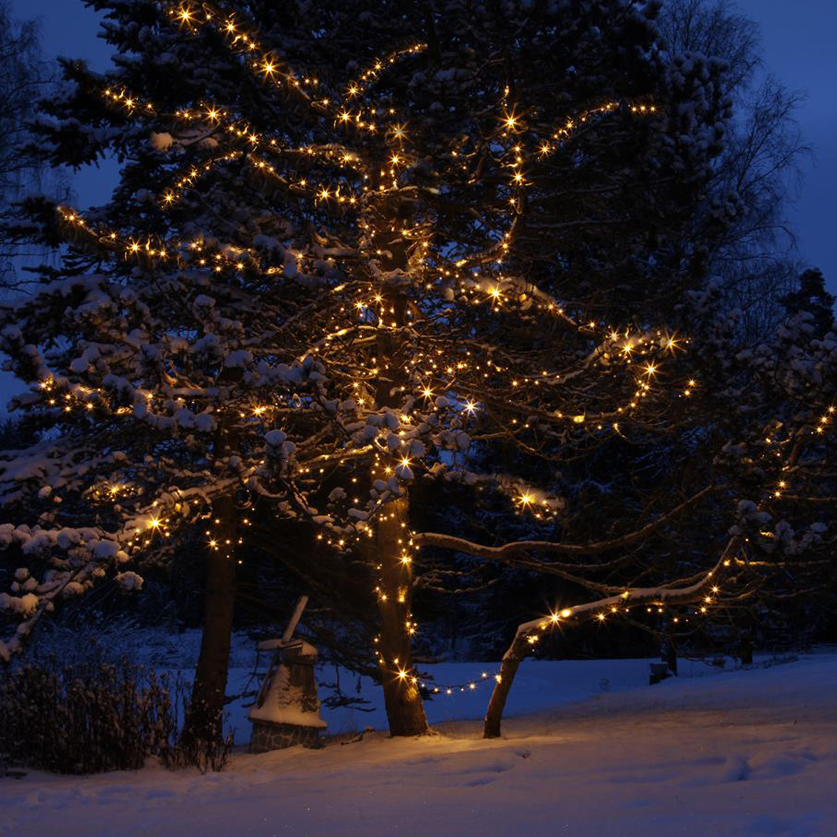 System 24 - LED Lichterkette 10m - koppelbar - Erweiterung - 98 warmweiße LED - exkl. Trafo