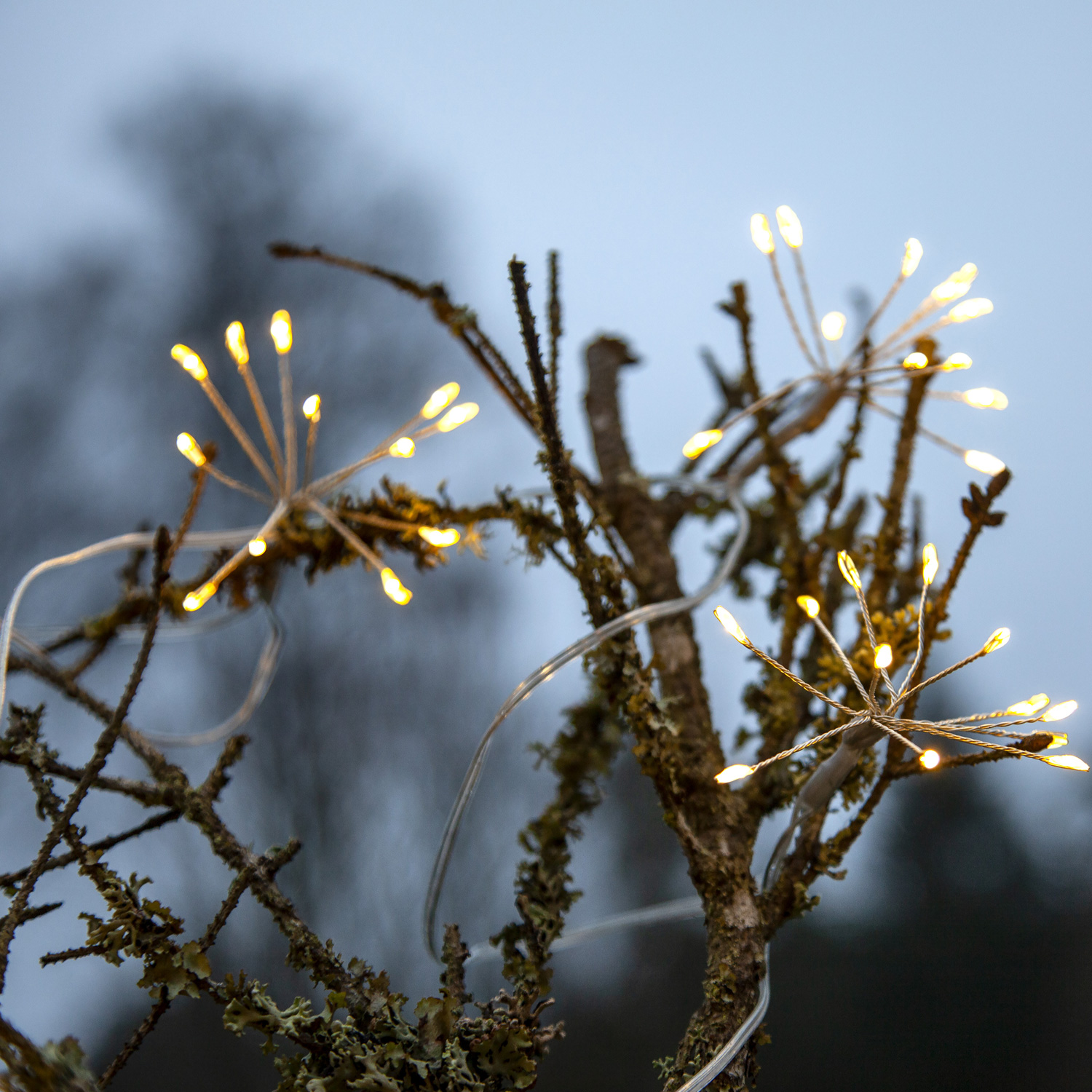 LED Lichterkette Dew Drop Blume - 96 Tautropfen LED - 8 Blüten - L: 2,1m - Timer - Batterie - Außen