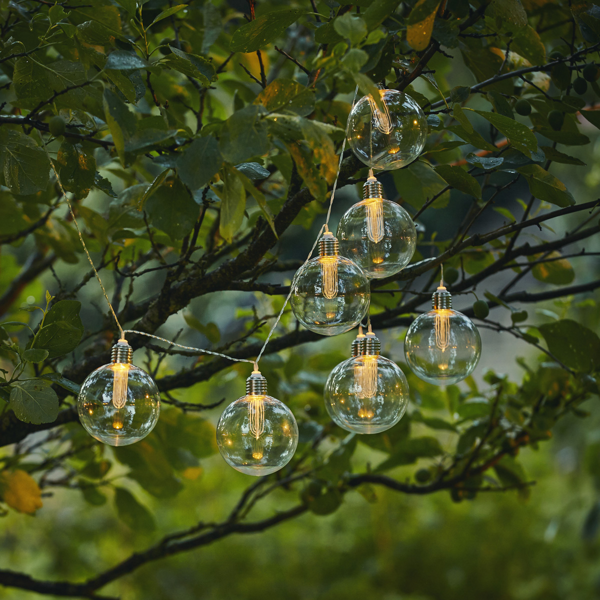 LED Lichterkette CHANIA - Solar - 8 warmweiße LED - L: 245cm - Lichtsensor - Outdoor - klar