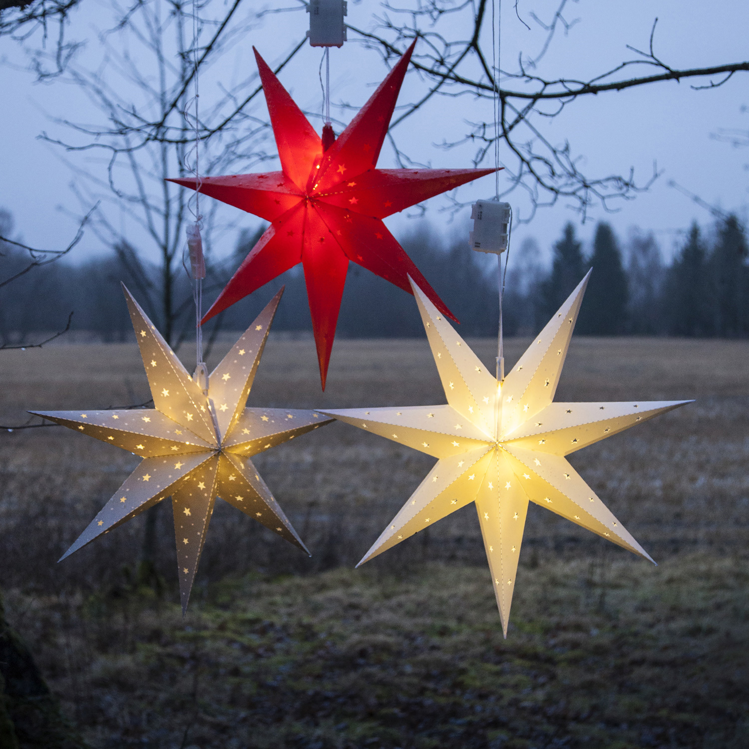 Lichterstern LIGHTY - D: 8,5cm - 12 warmweiße LEDs - Transparentes Kabel - Batterie - Timer