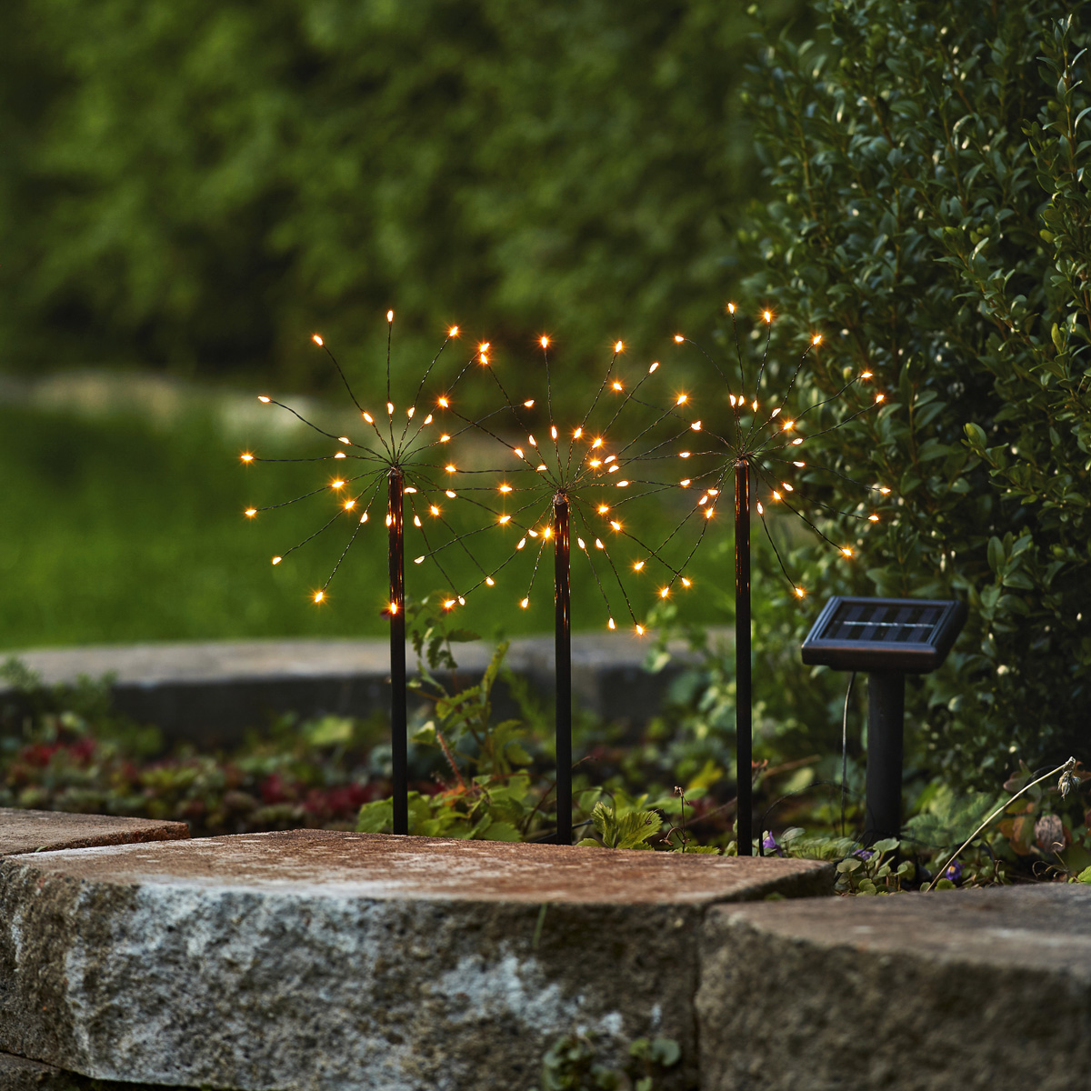 LED Solar "Feuerwerk" - 3 schwarze Spieße mit je 30 warmweißen LED - H: 40cm - Dämerungssensor