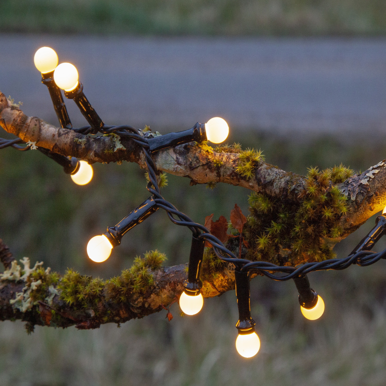 LED Party Lichterkette Berry Mini 300 warmweiße LED - L:6m - 8 Funktionen - Trafo - Timer - outdoor