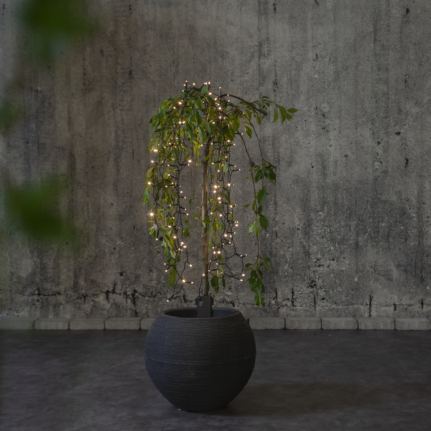 LED Lichterkette - AKKU - 160 warmweiße LED -  L: 11,2m -  Batterie - Timer - outdoor - schwarz