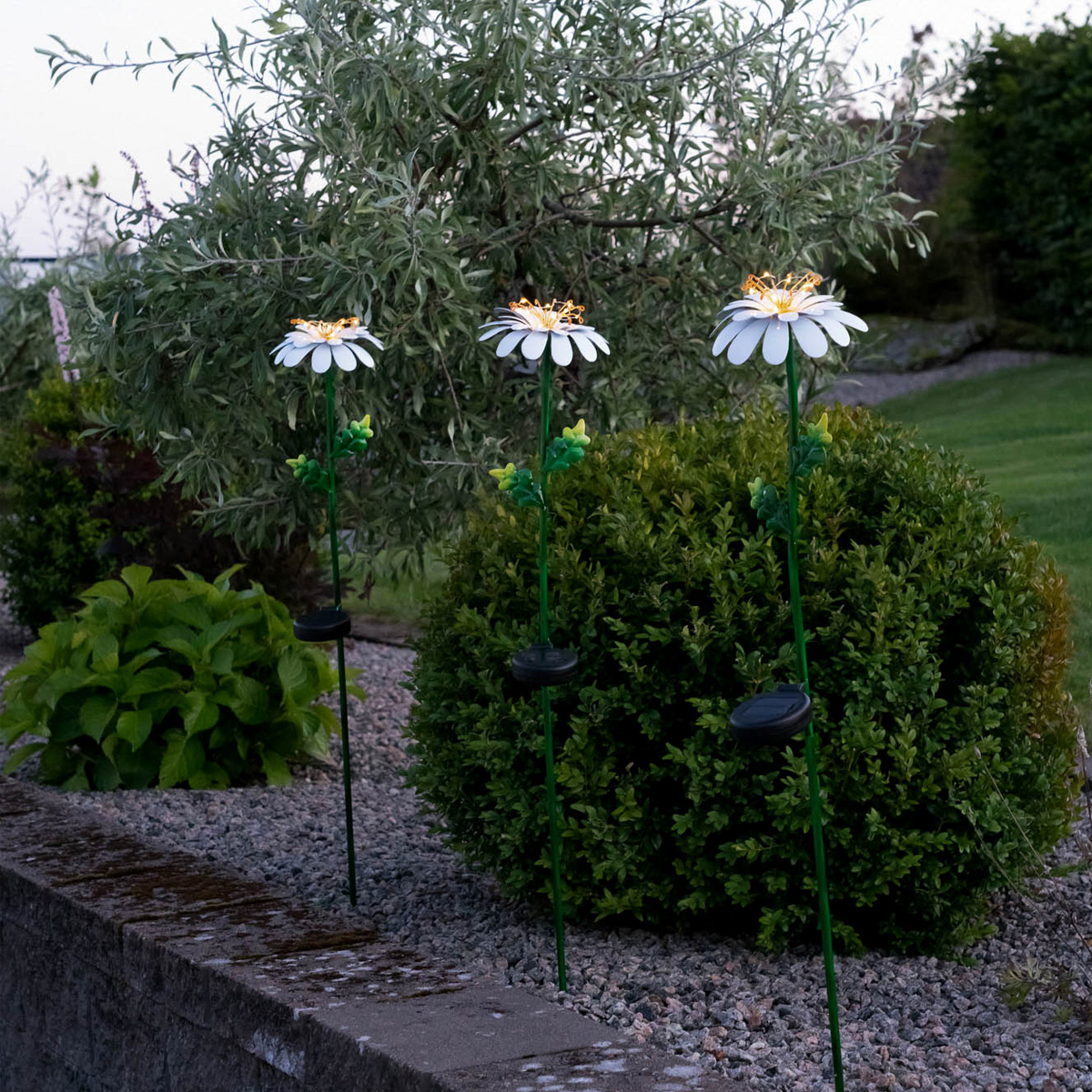 LED Solarstab Gänseblümchen - 10 warmweiße Dew Drop LED - H: 77cm - Dämmerungssensor