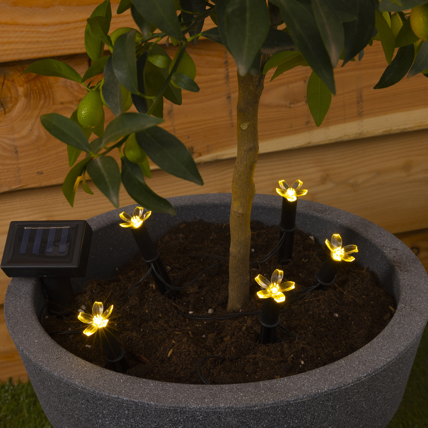 LED Solar Lichterkette Blüten - 5 warmweiße LED - L: 1,2m - H: 17cm - Lichtsensor - für Außen