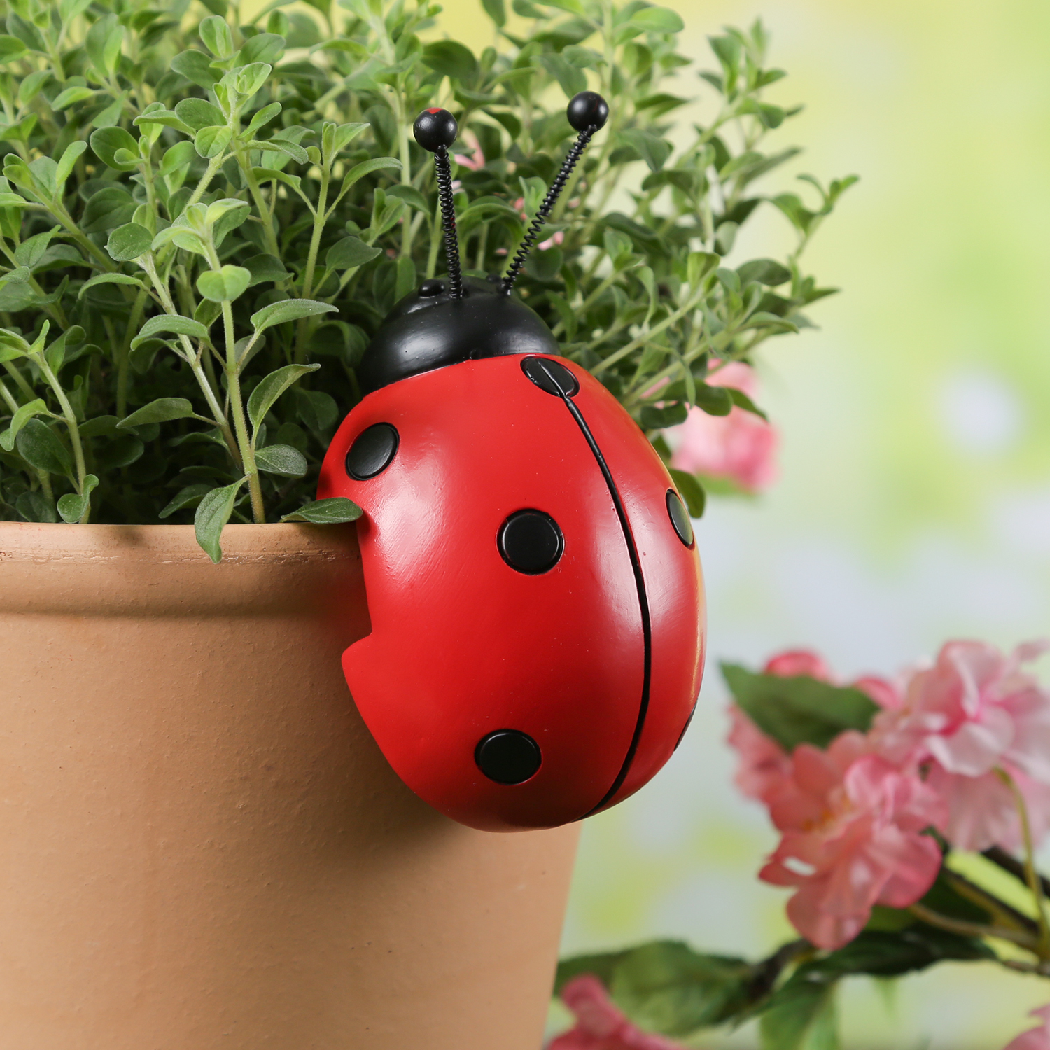 Blumentopfhänger Marienkäfer - Dekofigur als Topfhänger - Tierfigur - Polyresin - H: 11,5cm