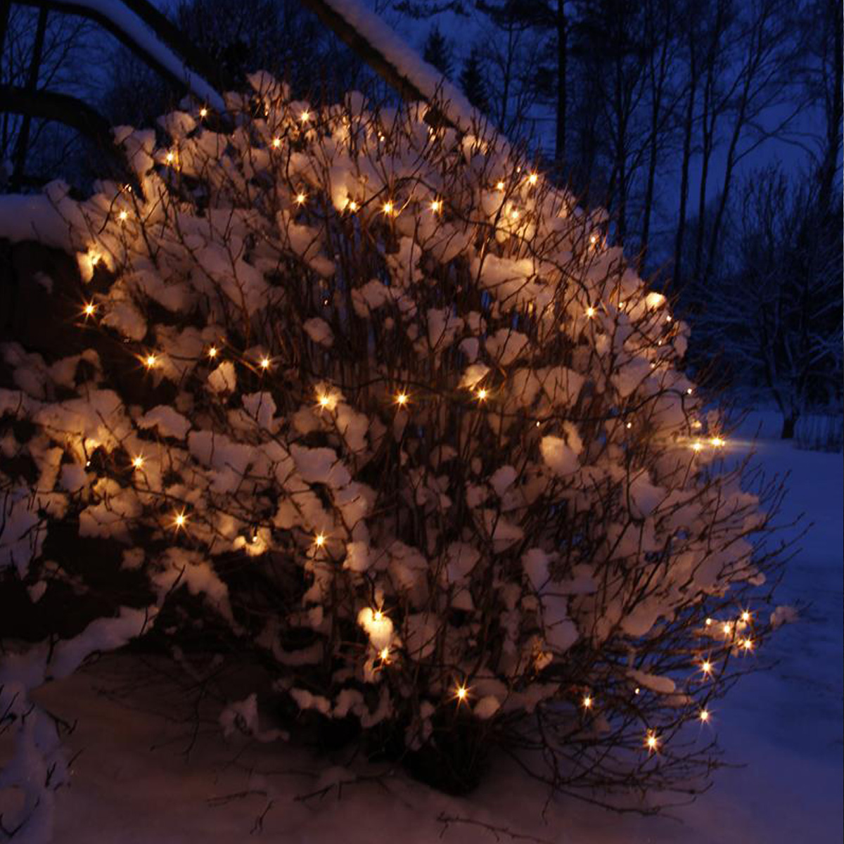 System 24 | LED-Lichterkette | koppelbar | exkl. Trafo | 5.00m | 49x Warmweiß System 24 | LED-Lichterkette | koppelbar | exkl. Trafo | 5.00m | 49x Warmweiß