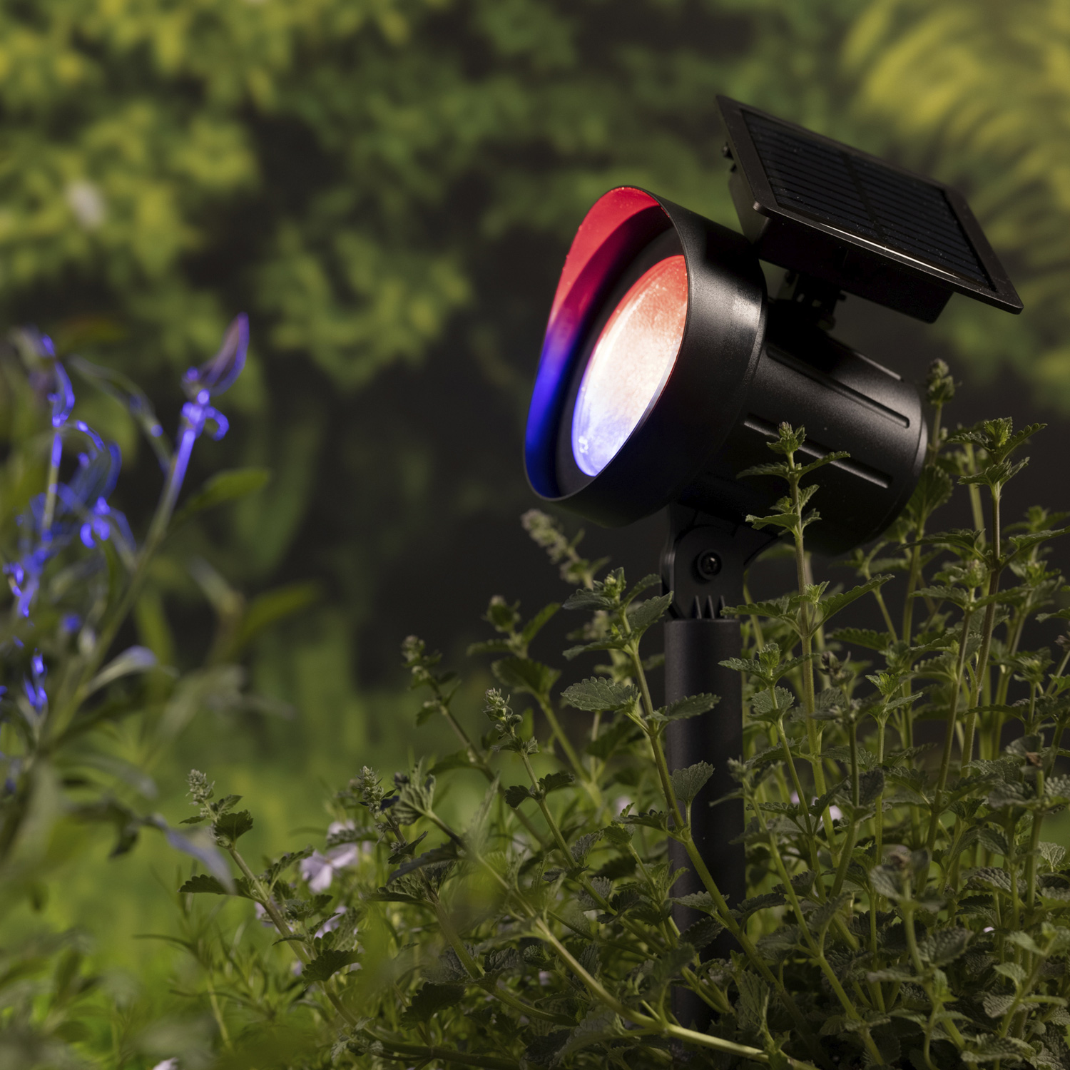 LED Solar Gartenstrahler - Gartenspot  - 8 Lichtfunktionen - 25 Lumen - H: 42,5cm -  2St.