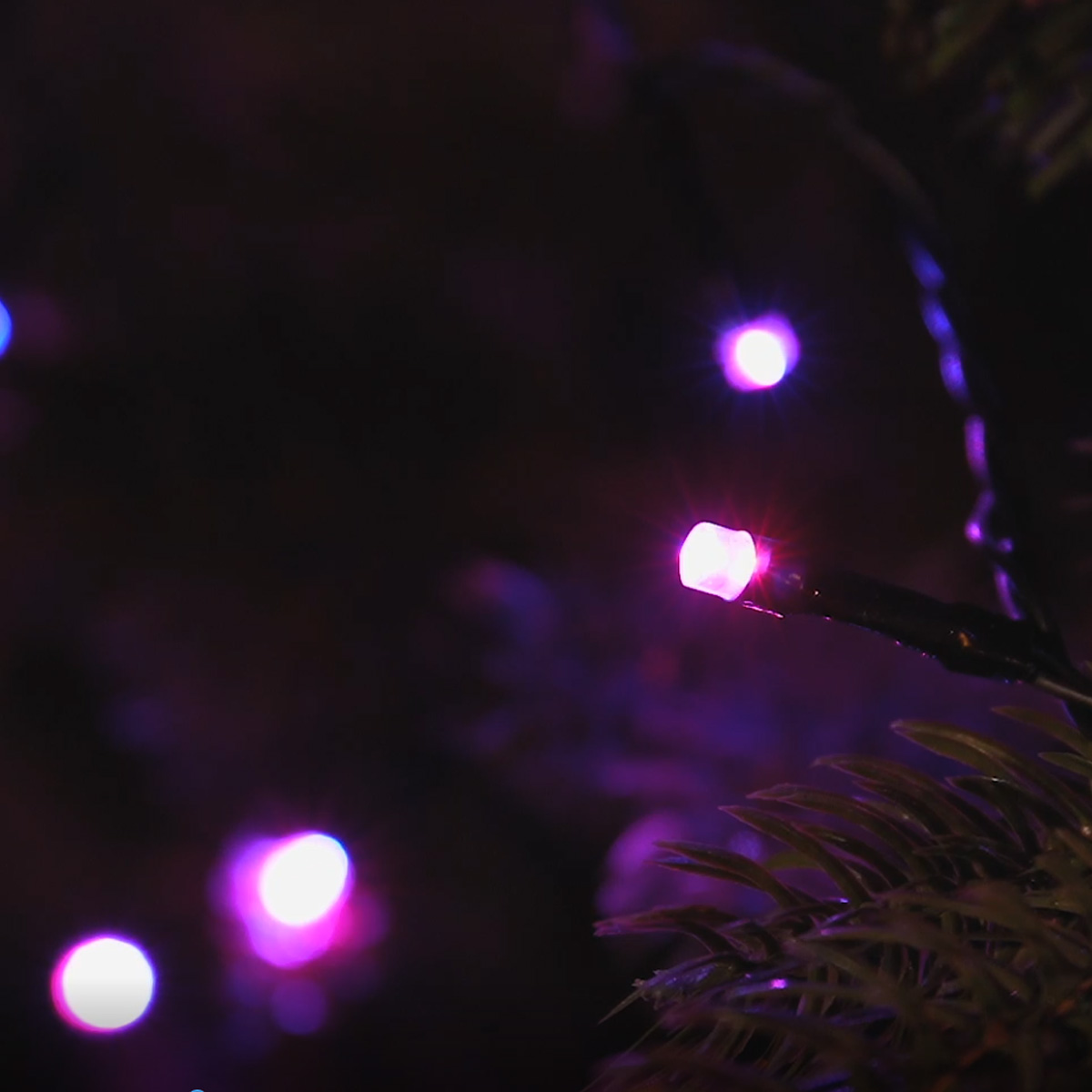 LED Lichterkette - App gesteuert - 100 farbwechselnde LED - verschiedene Funktionen - L: 9m - grün