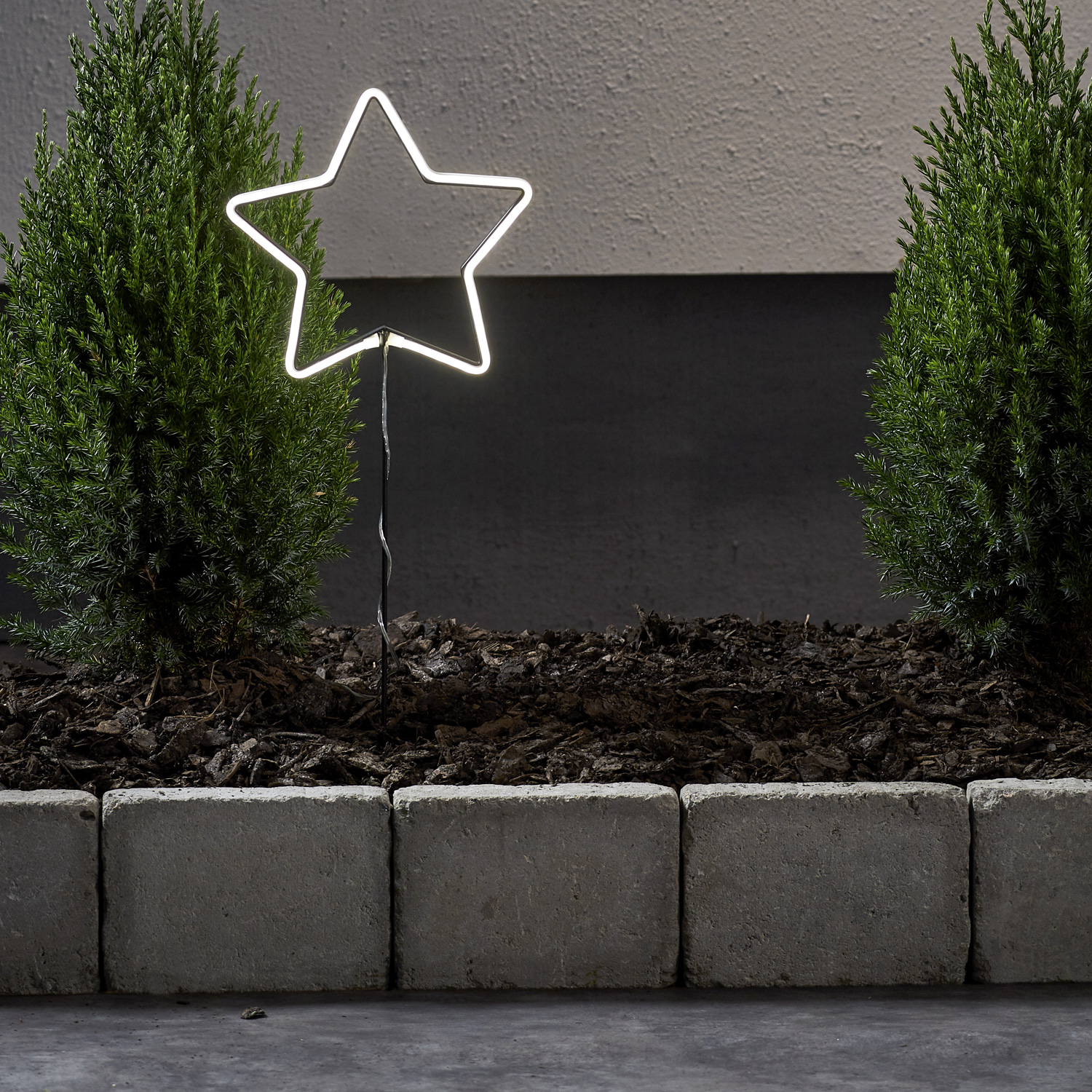 LLED Lichterstern Neonstar- stehend - H: 58cm - 72 warmweiße LED - Timer - Batterie - Outdoor - weiß