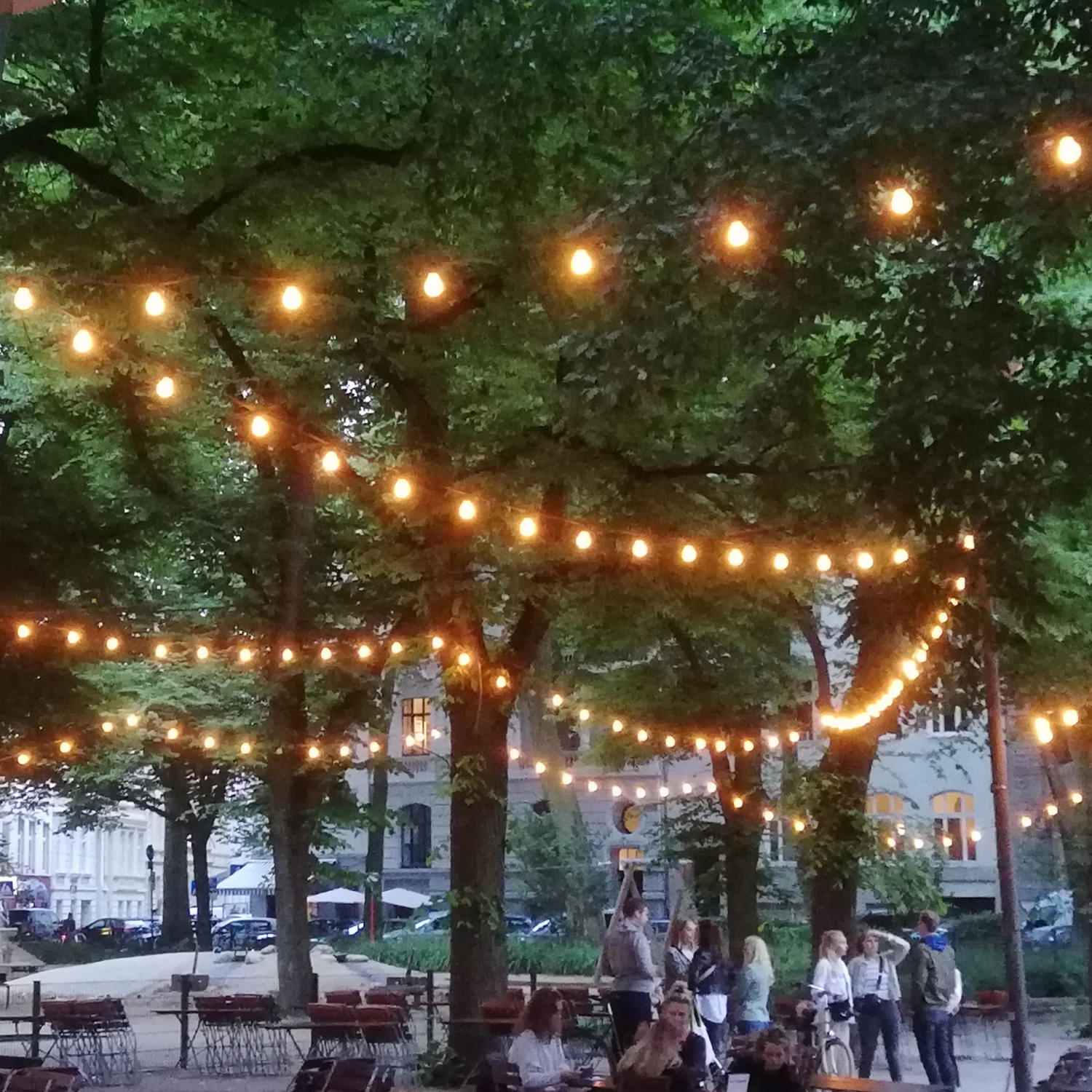 ILLU Lichterkette grün - 100 Meter Installations-Rohware - E27 Fassungen alle 100cm
