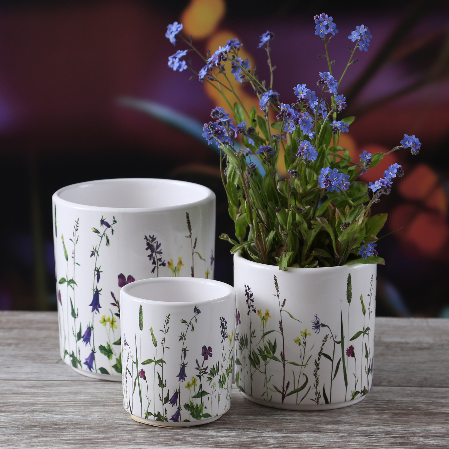 Blumentöpfe mit Wildbgräser Motiv - Übertöpfe - 3 verschiedene Größen - bunt - 3er Set