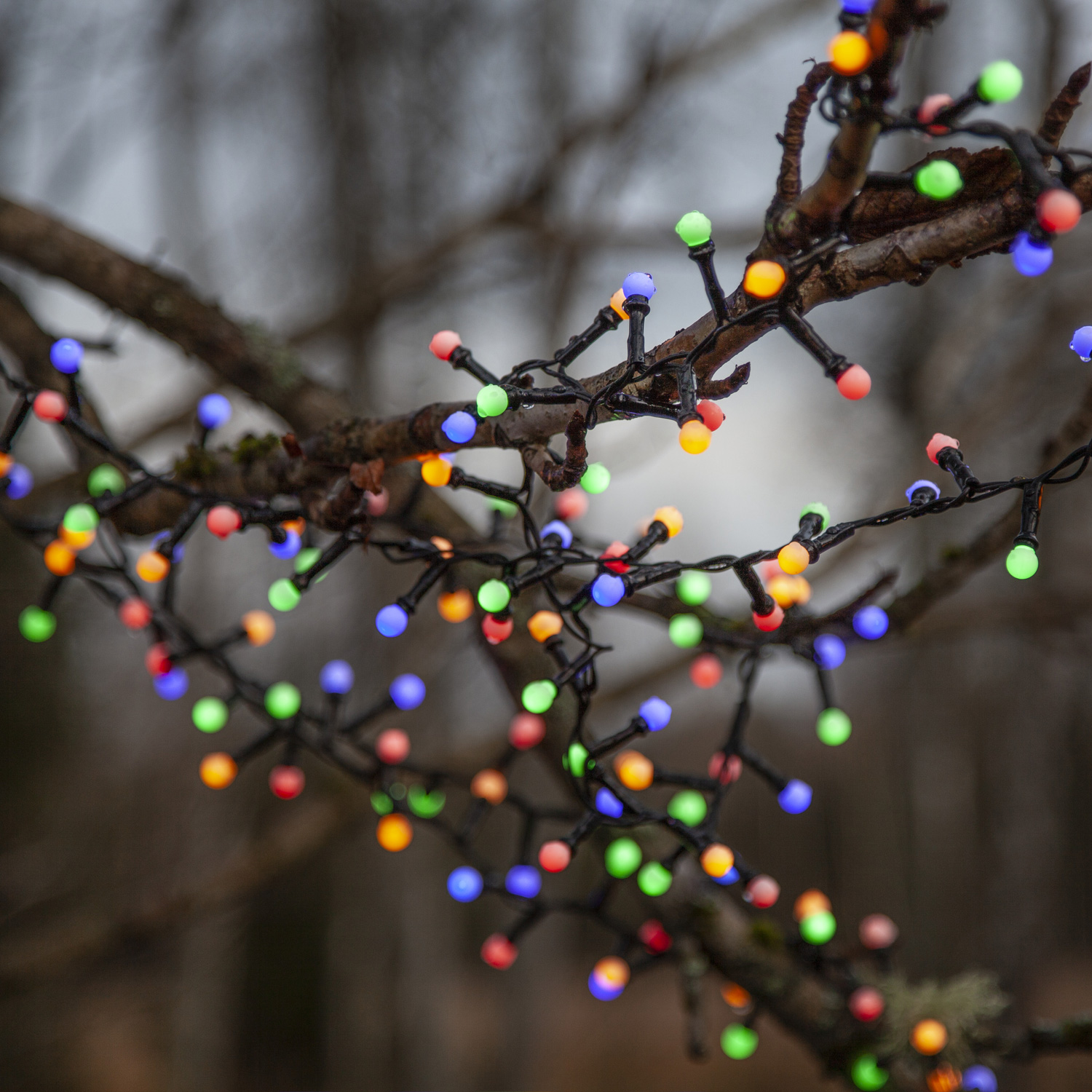 LED Lichterkette Berry Mini - 700 bunte opale LED - 14m - 8 Funktionen - Trafo - Timer - outdoor