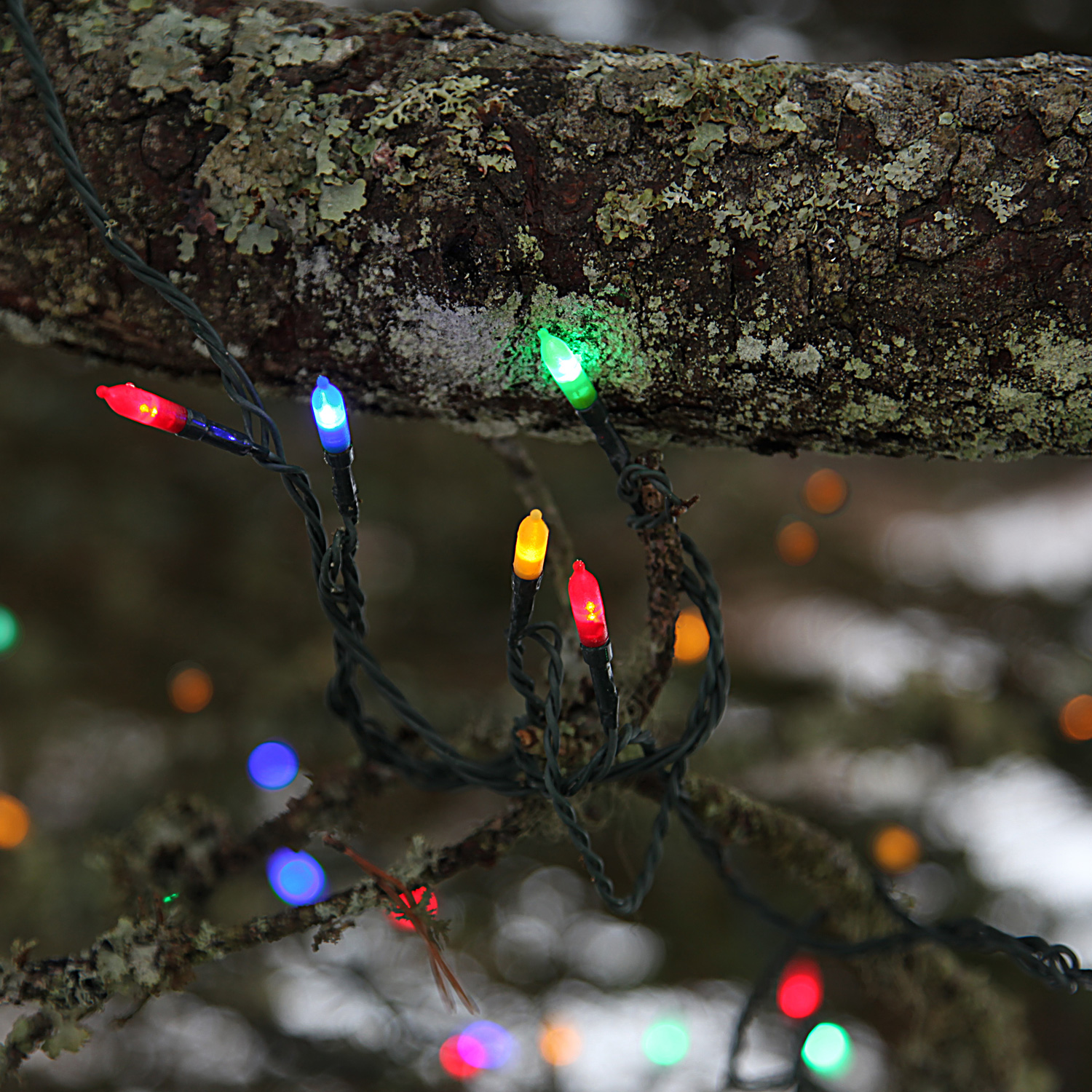 LED-Lichterkette - Garden Line Outdoor - 31,80m - 160x Bunt - Grün