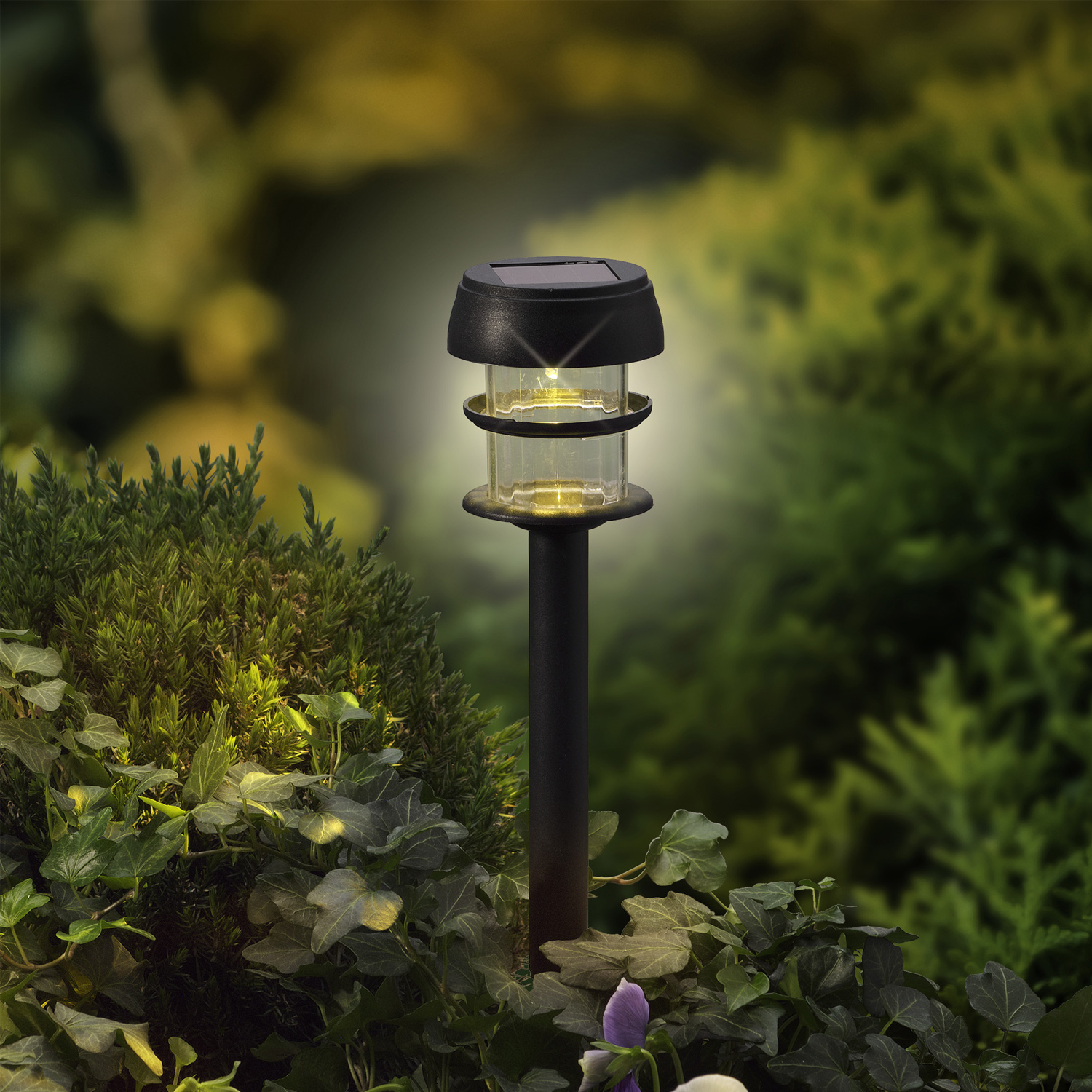 LED Solar Wegleuchten mit Erdspieß - Kunststoff - warmweiße LED - H: 25cm - Lichtsensor - 6er Set