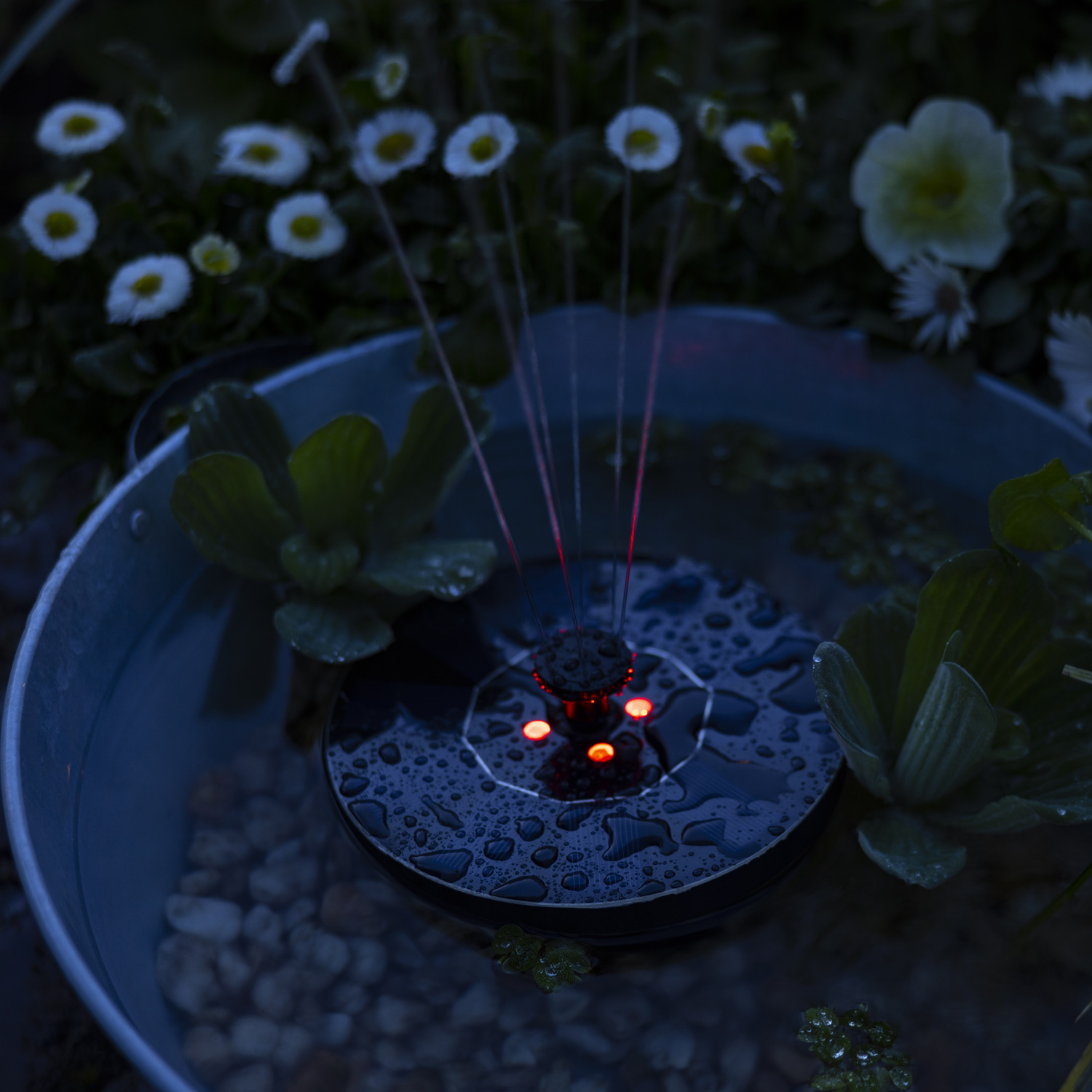 LED Solar Teichpumpe - schwimmende Fontäne - 4 farbwechselnde LED - Kunststoff - D: 16cm - schwarz