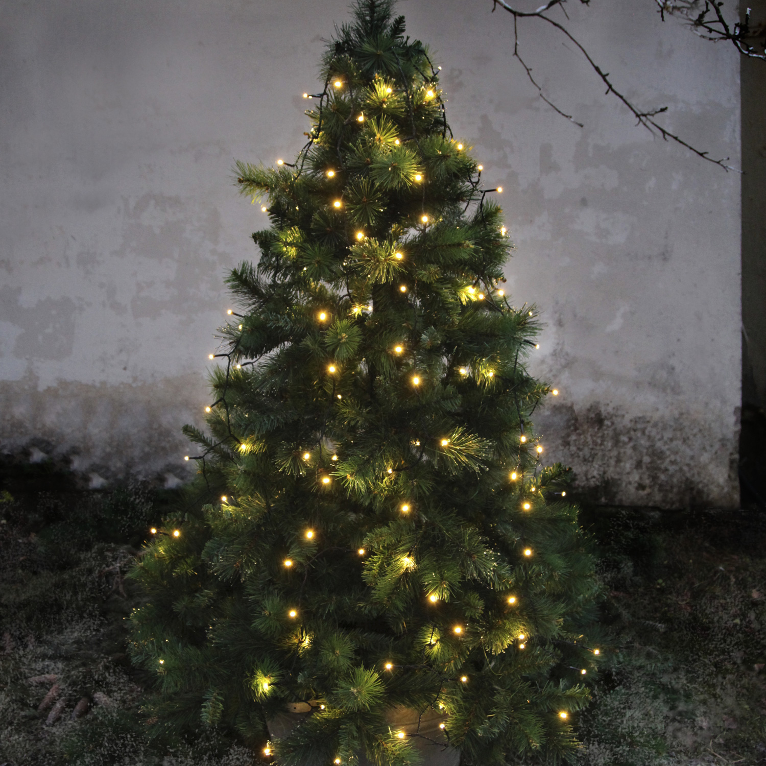 LED Baummantel - Serie LED - outdoor - 160 warmweiße LED - H: 2.00m - schwarzes Kabel