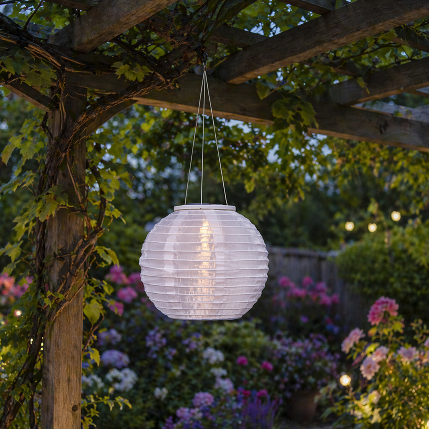 LED Solar Lampion - warmweiße LED - H: 21cm - D: 25cm - Lichtsensor - weiß