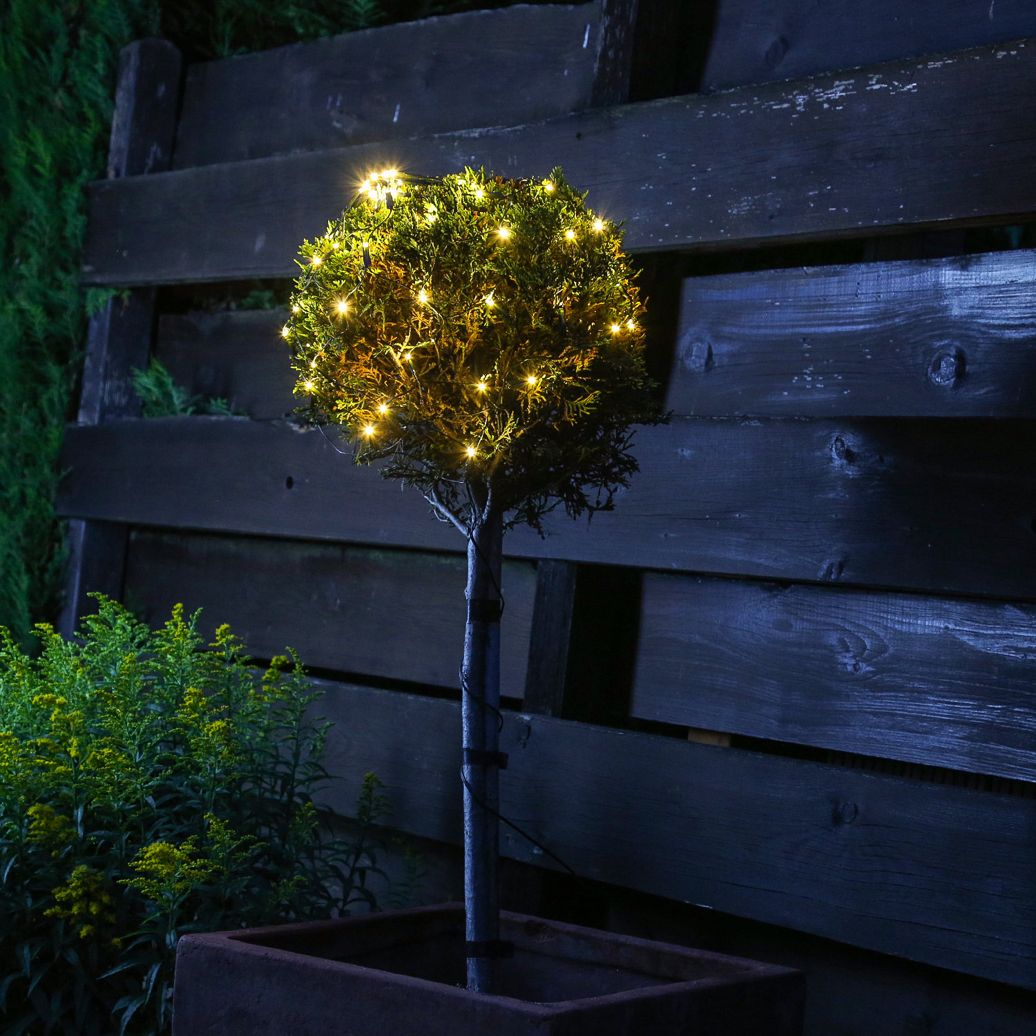 LED Lichternetz Buchsbaum - Blinkfunktion - 120 warmweiße/bernstein LED - D: 80cm - transparent
