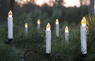 Weihnachtsbaum