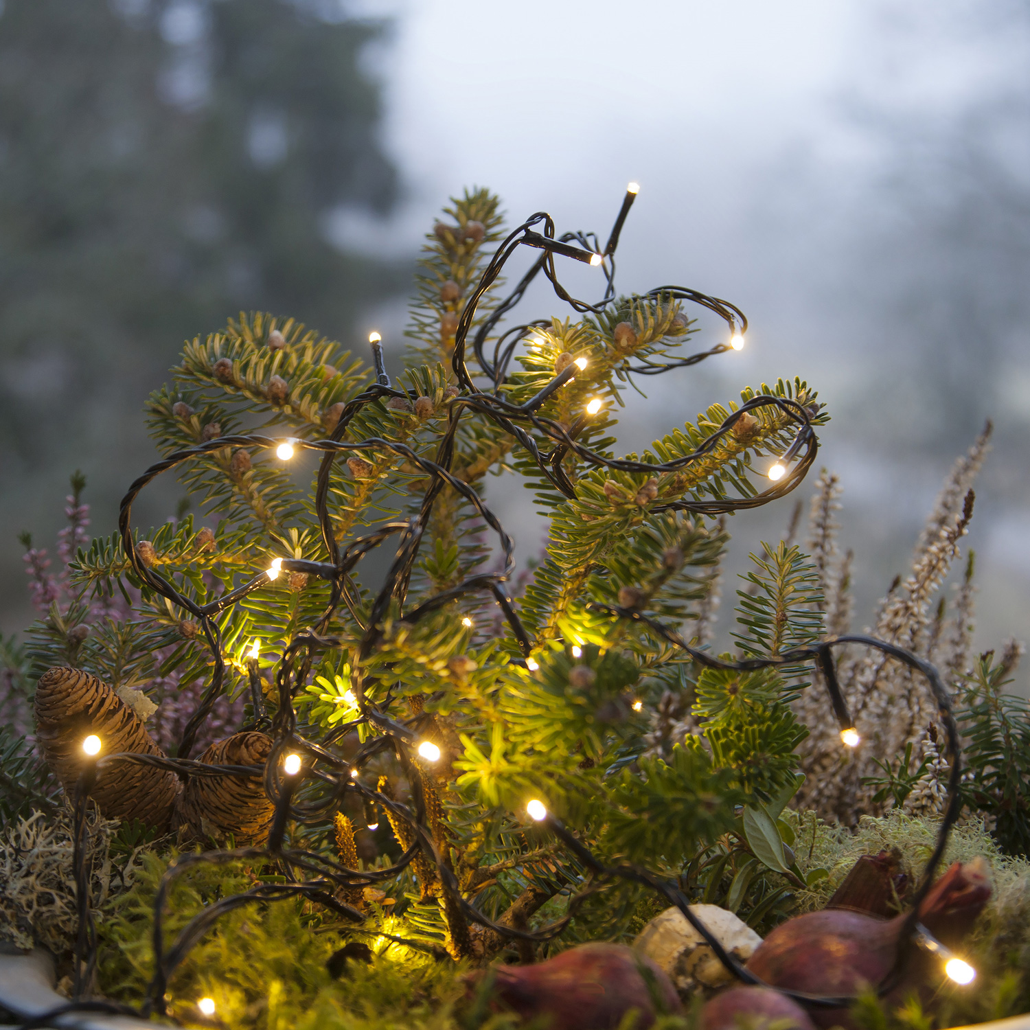 Lichterkette | Serie MICROLED 3mm | 18m | schwarzes Kabel | 180 warmweiße LEDs | Trafo