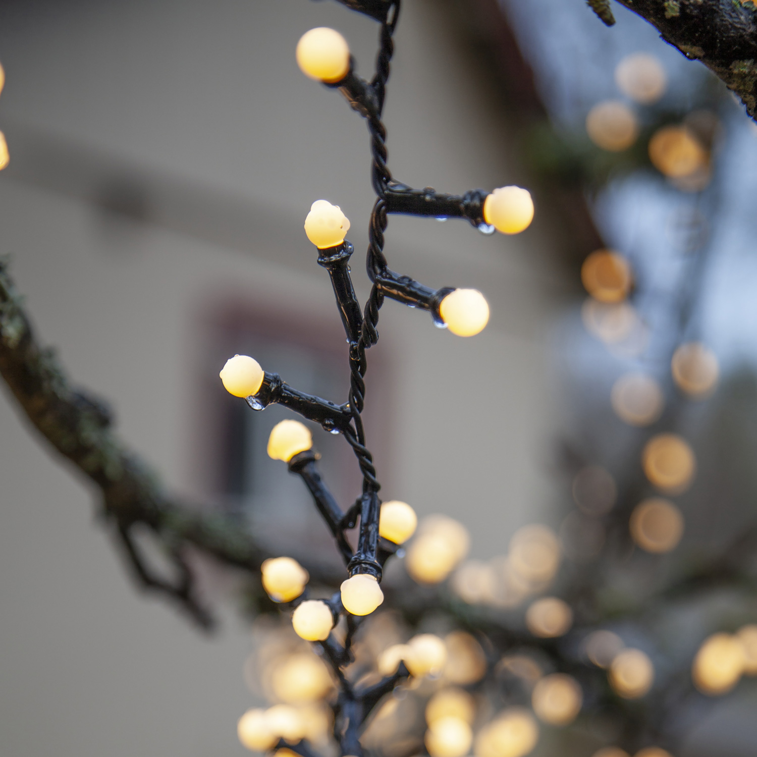LLED Party Lichterkette Berry Mini 300 warmweiße LED - L:6m - 8 Funktionen - Trafo - Timer - outdoor